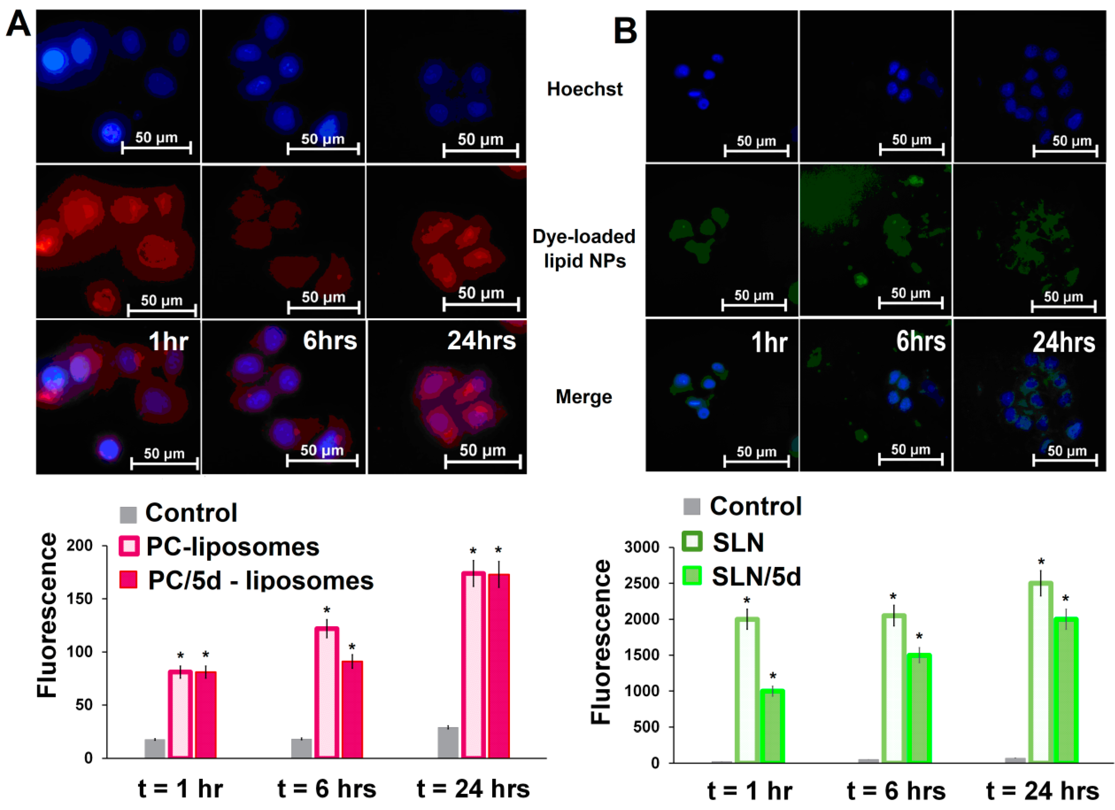 Nanomaterials 13 02840 g007