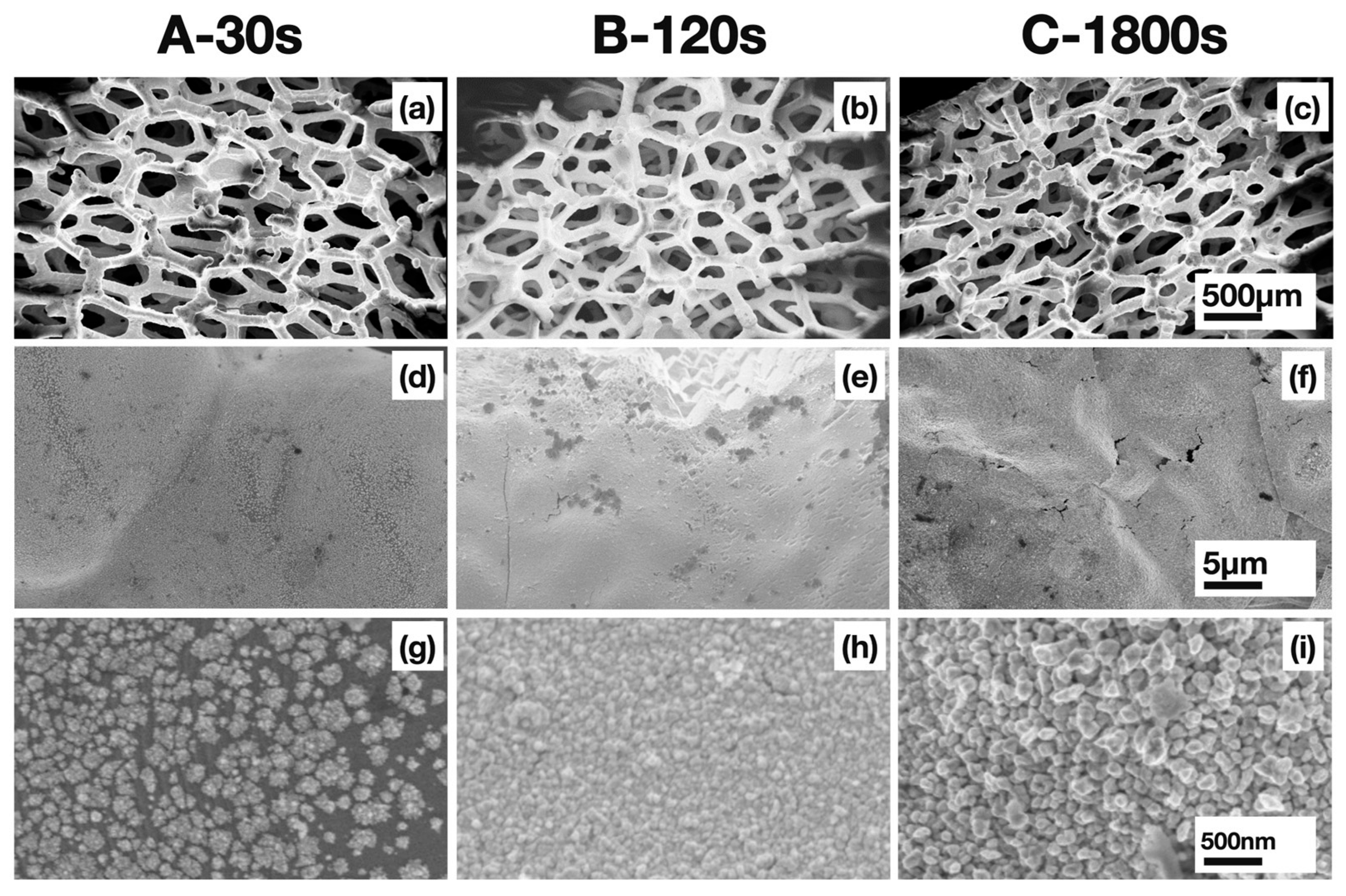 Nanomaterials 13 02850 g002