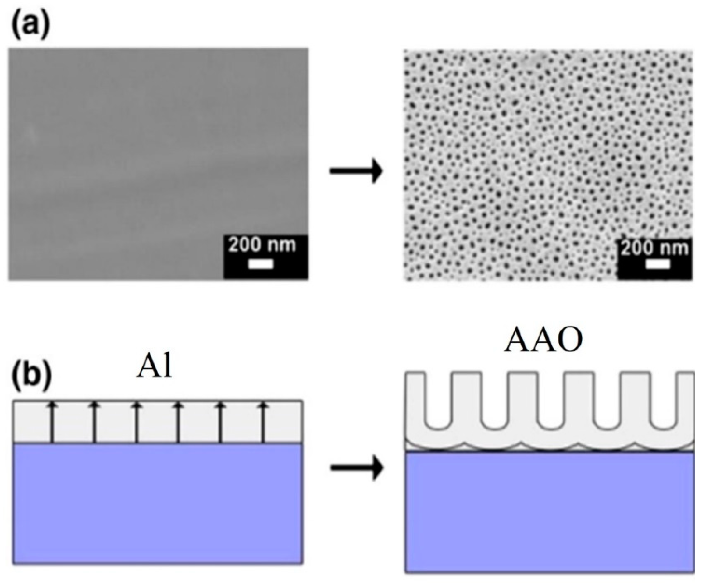 Nanomaterials 13 02853 g009 Nanomaterials 13 02853 g009