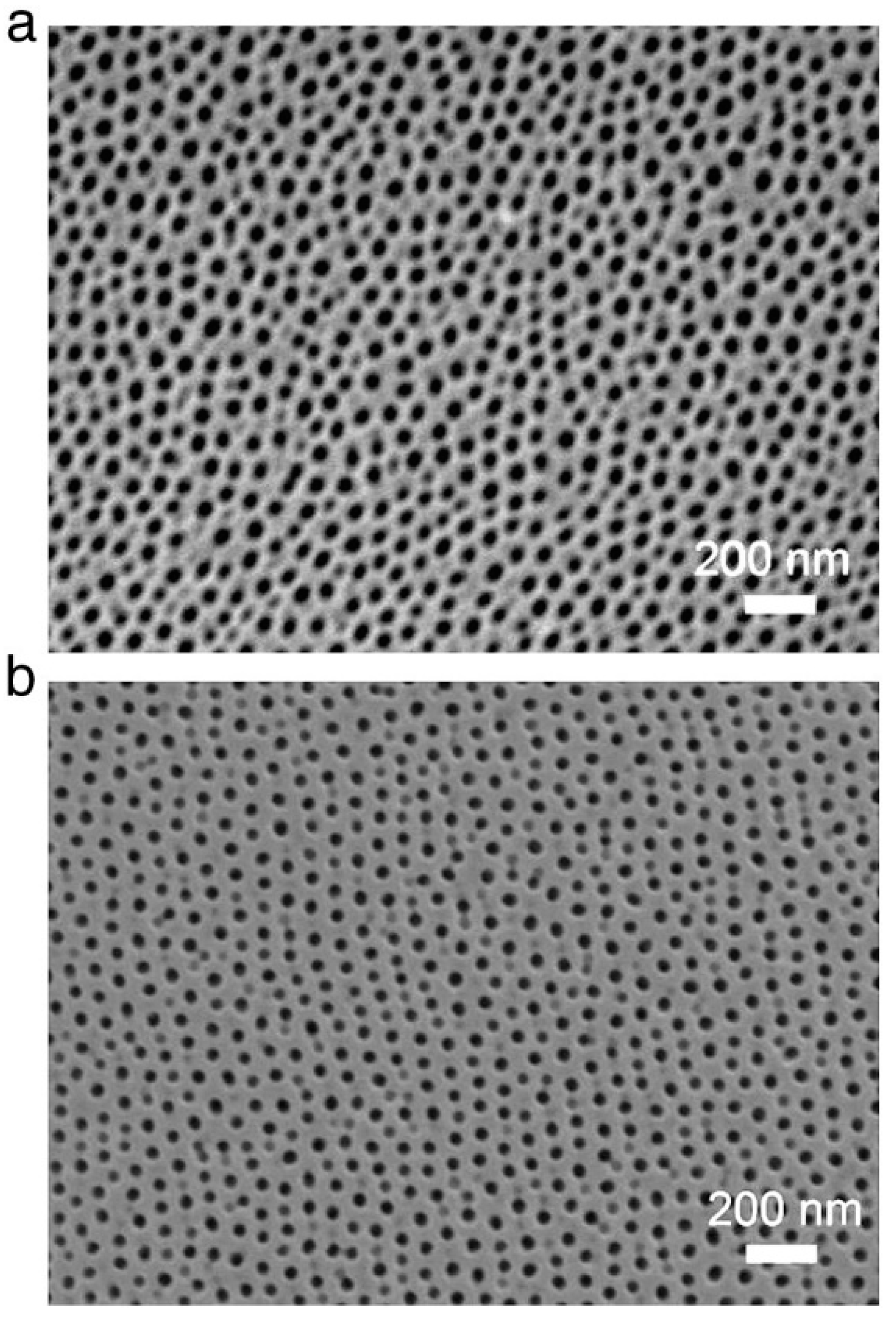 Nanomaterials 13 02853 g011 Nanomaterials 13 02853 g011