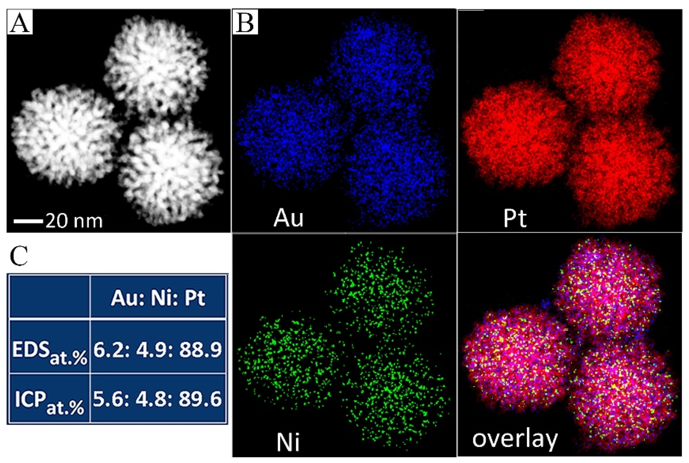 Nanomaterials 13 02855 g002