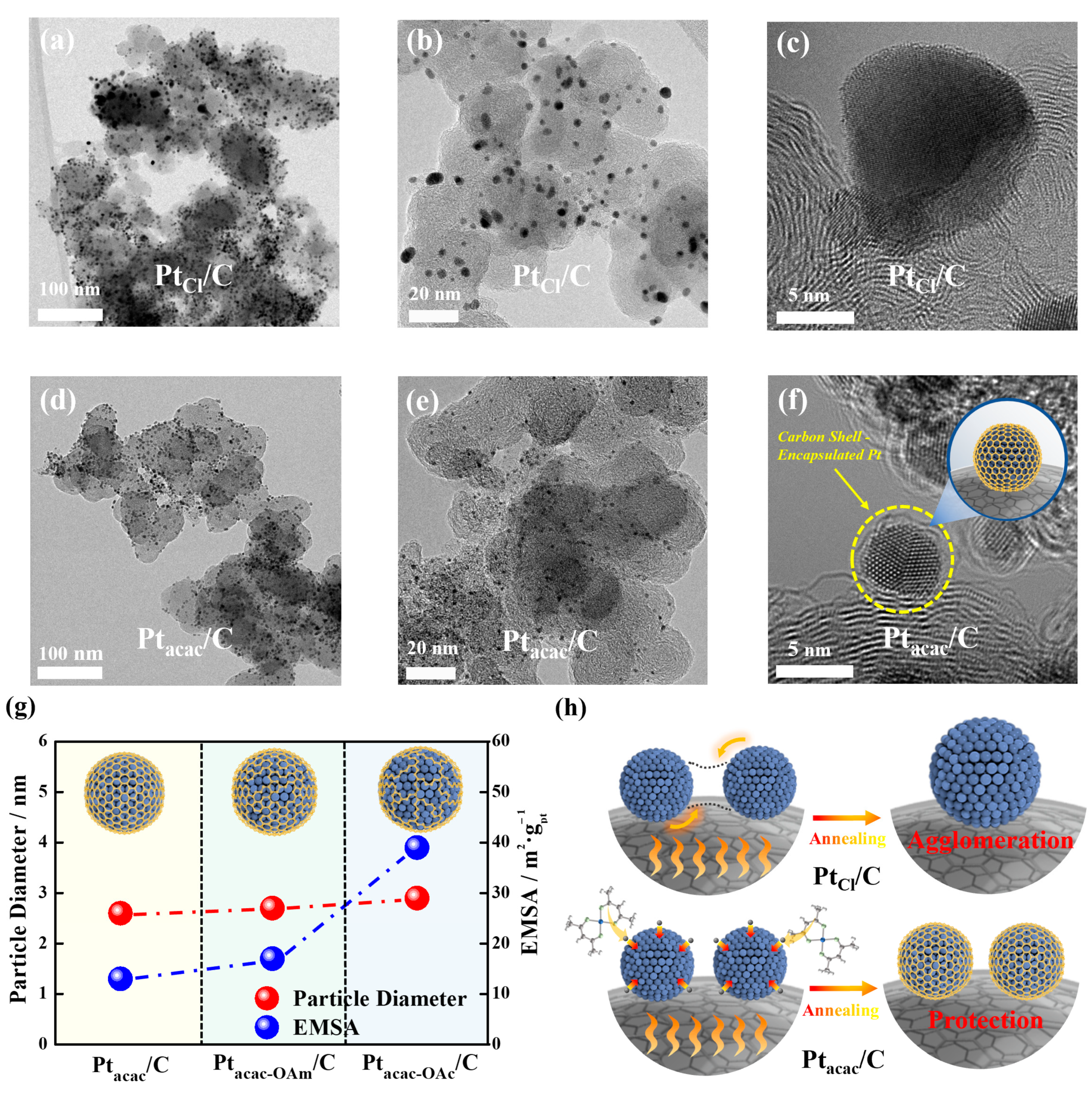 Nanomaterials 13 02862 g001