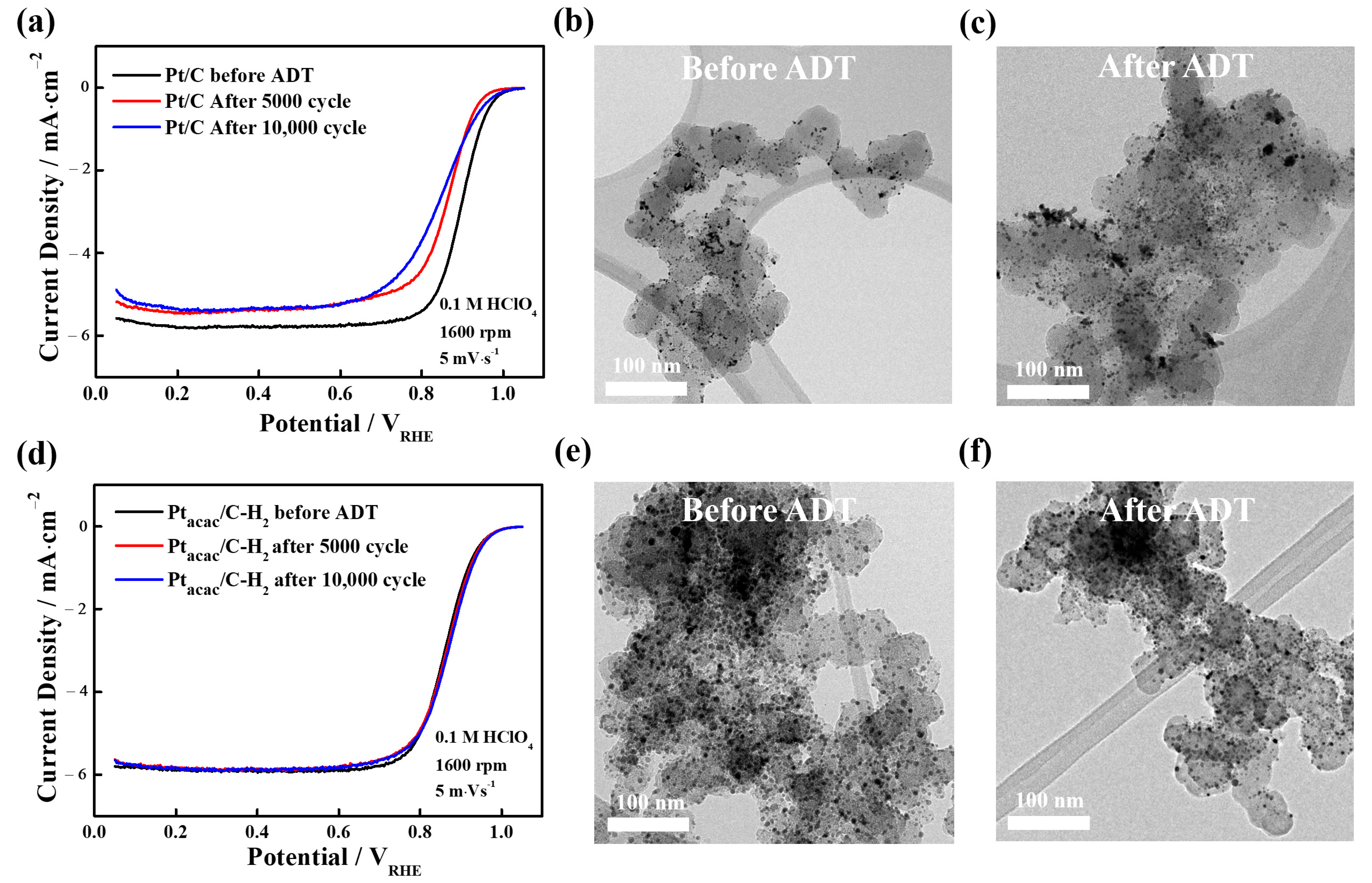 Nanomaterials 13 02862 g005