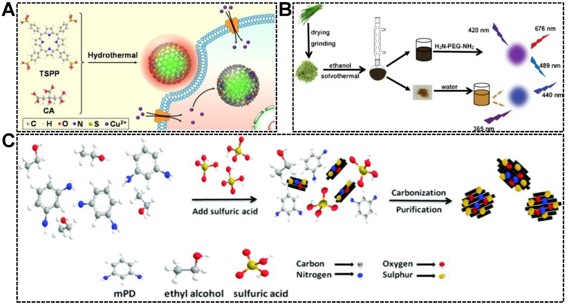 Nanomaterials 13 02869 g003
