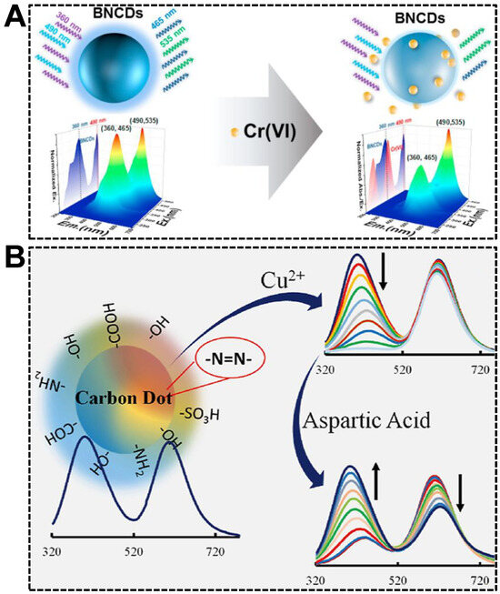 ソリューションブラック The Hidden Role of Non-Canonical Amyloid β Isoforms in