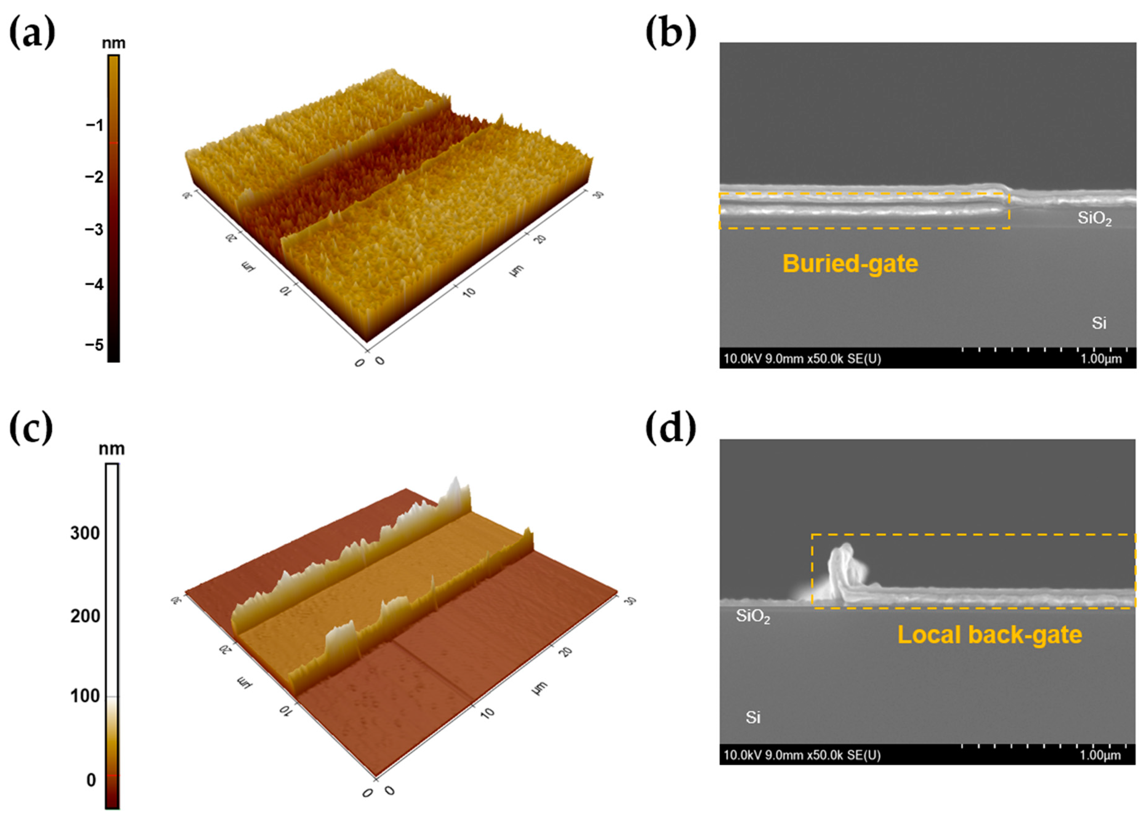 Nanomaterials 13 02870 g003