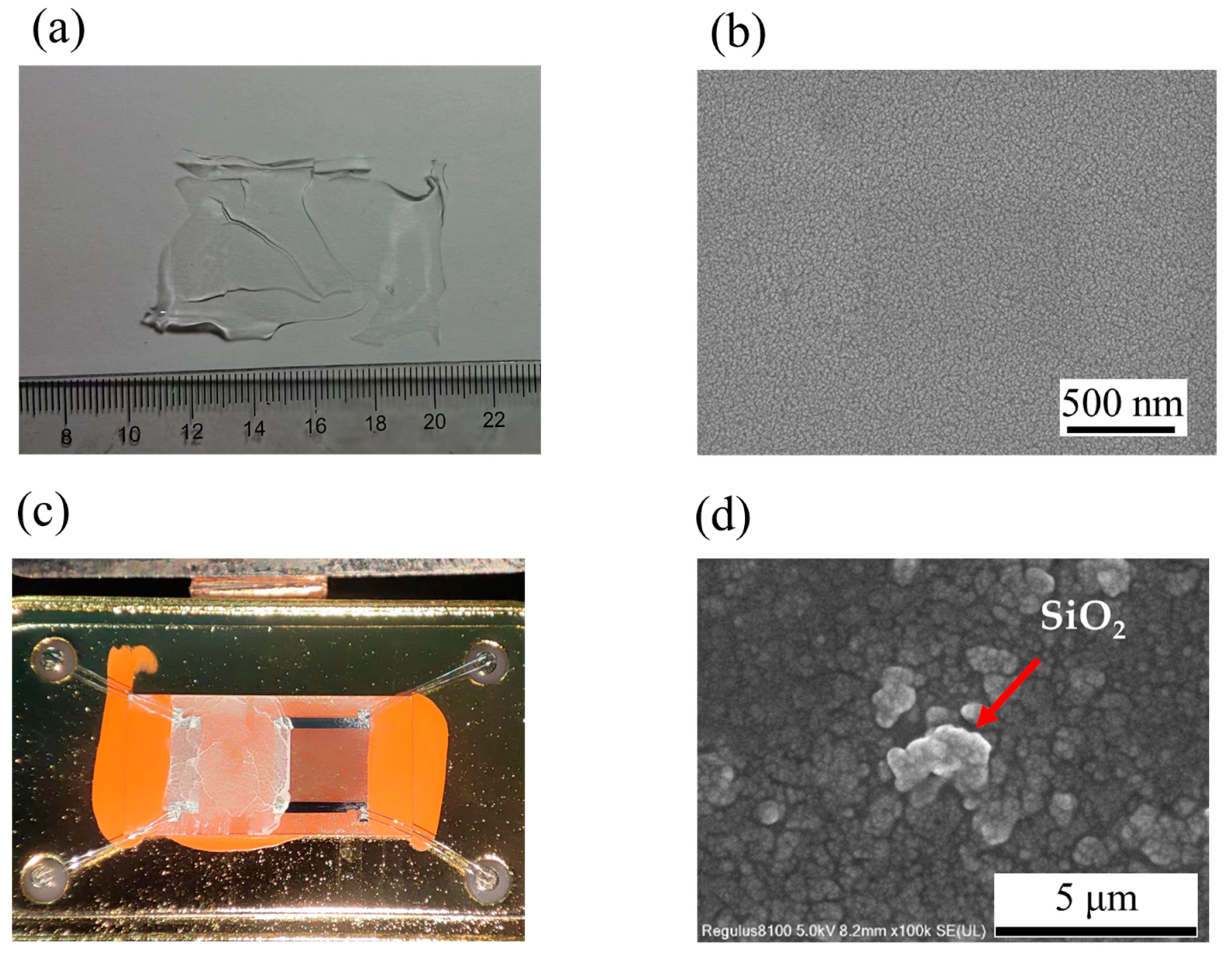 Nanomaterials 13 02871 g003