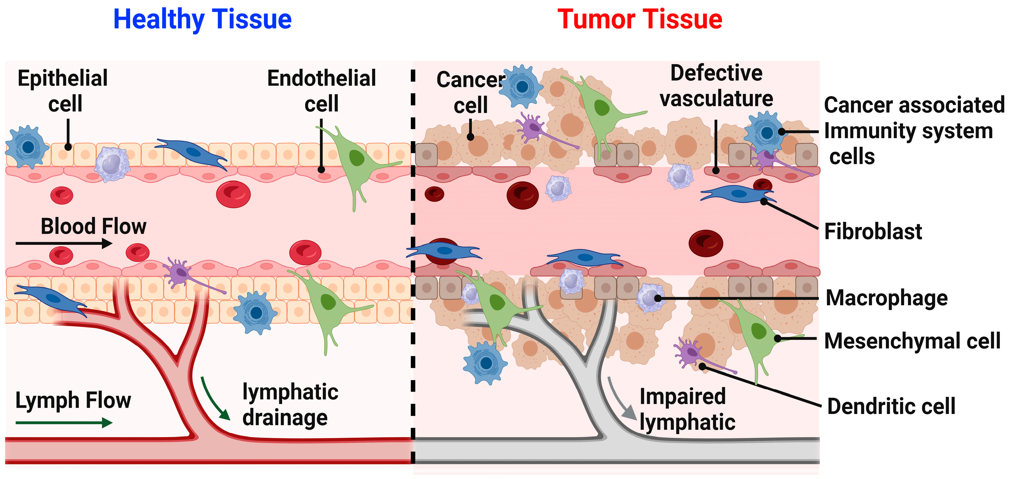 Nanomaterials 13 02873 g002 Nanomaterials 13 02873 g002