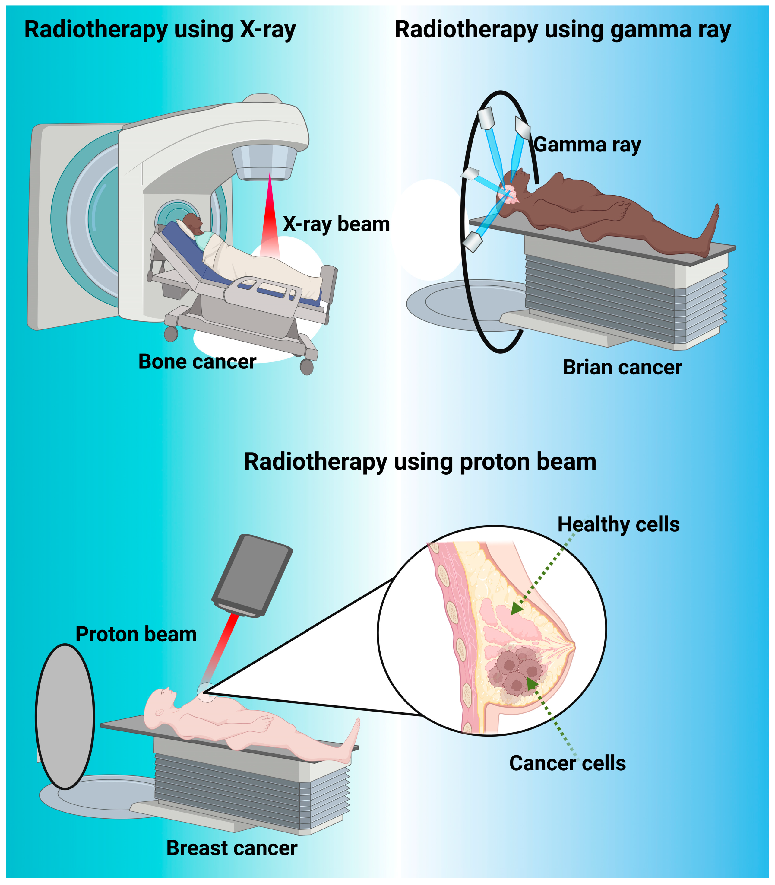Nanomaterials 13 02873 g004 Nanomaterials 13 02873 g004
