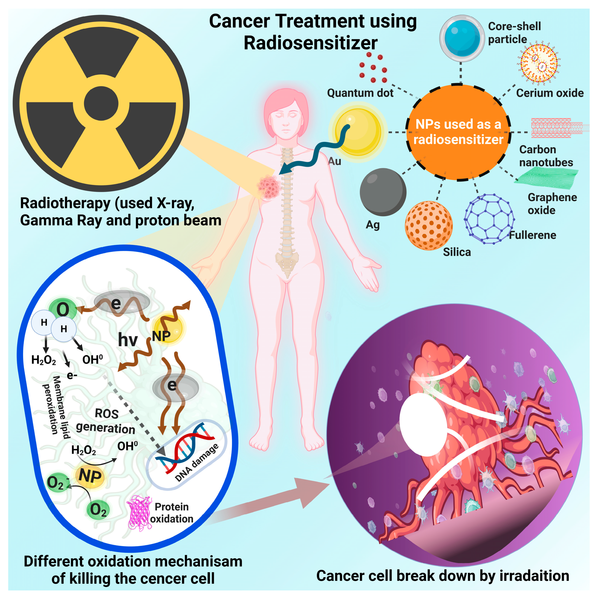 Nanomaterials 13 02873 g005 Nanomaterials 13 02873 g005