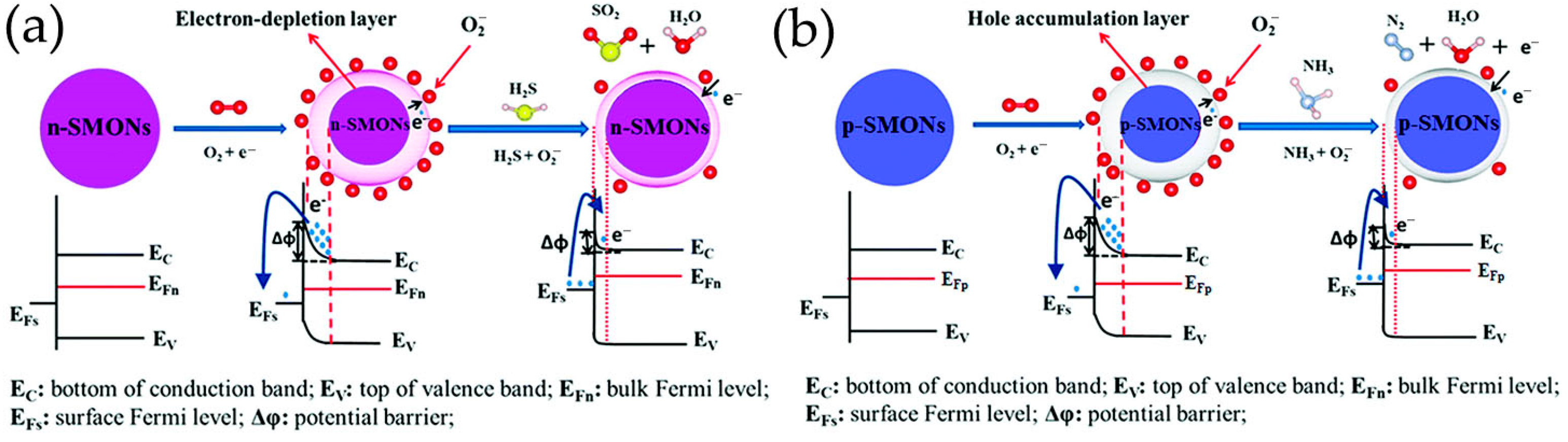 Nanomaterials 13 02880 g008