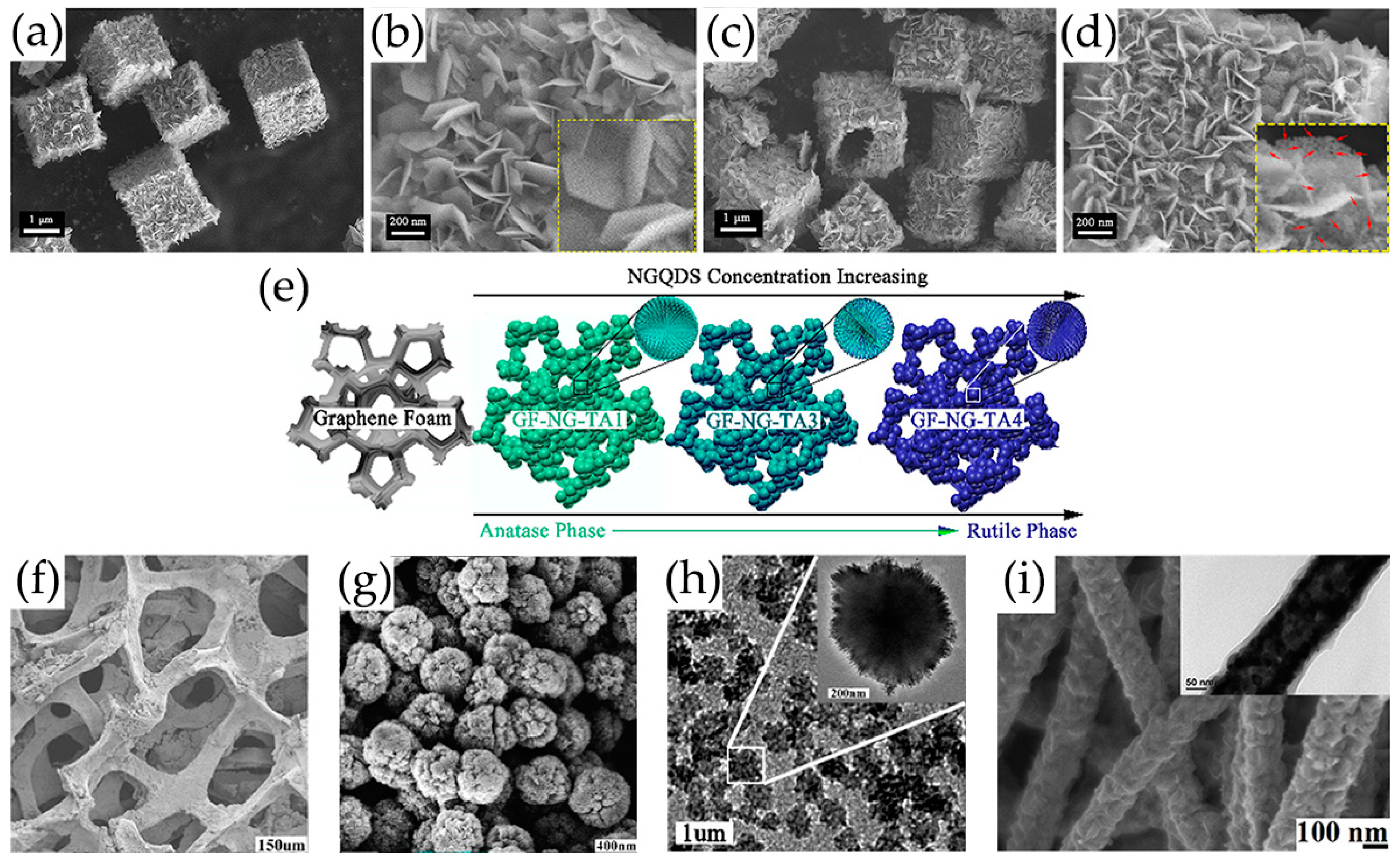 Nanomaterials 13 02880 g013