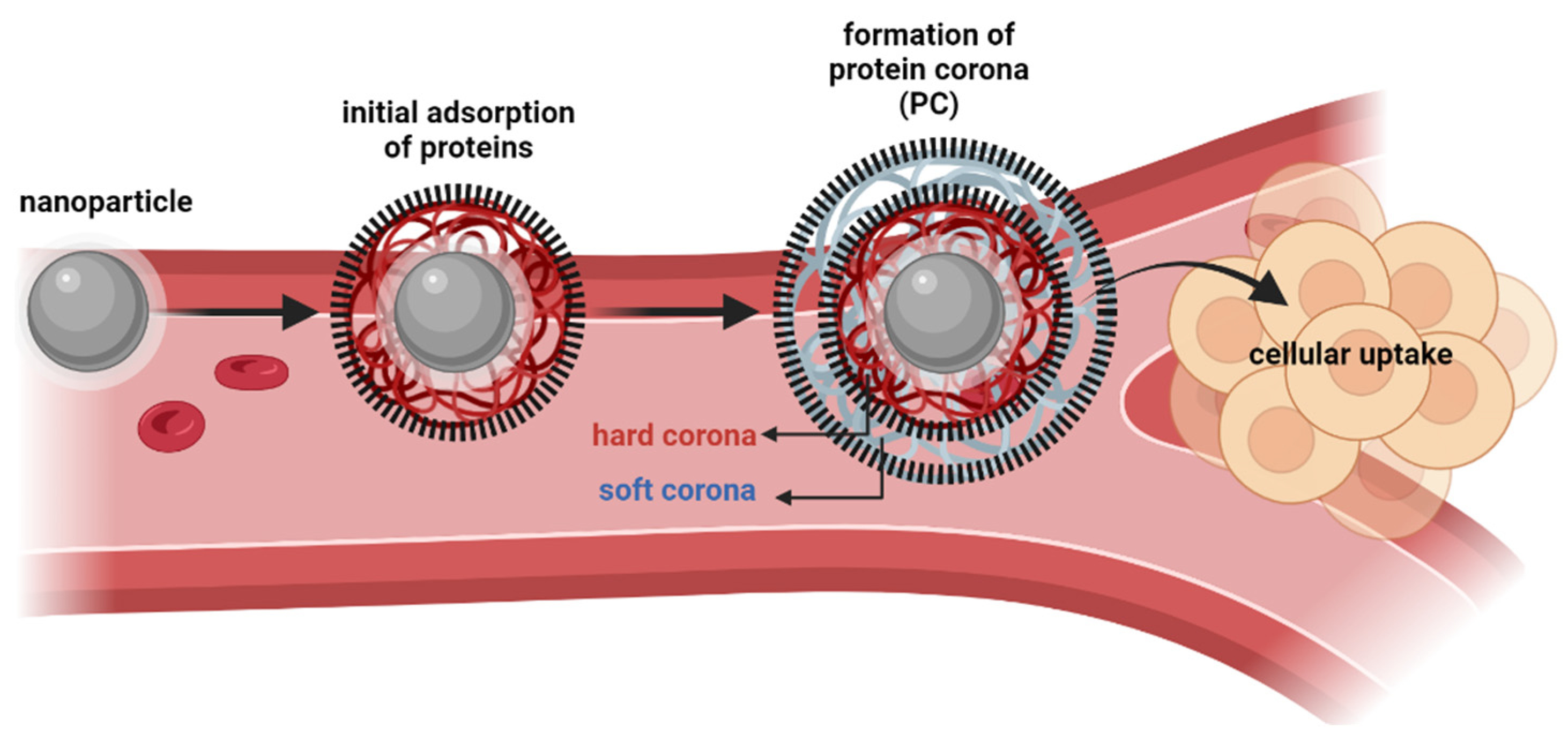 Nanomaterials 13 02887 g006