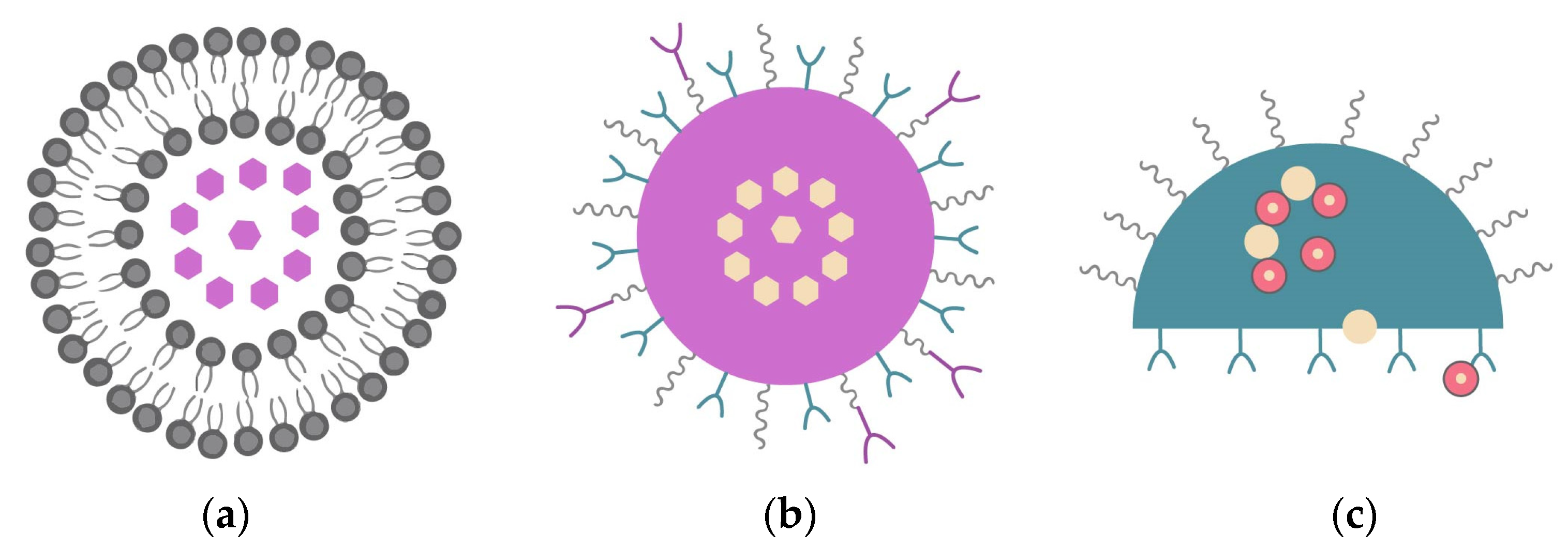 Nanomaterials 13 02887 g007