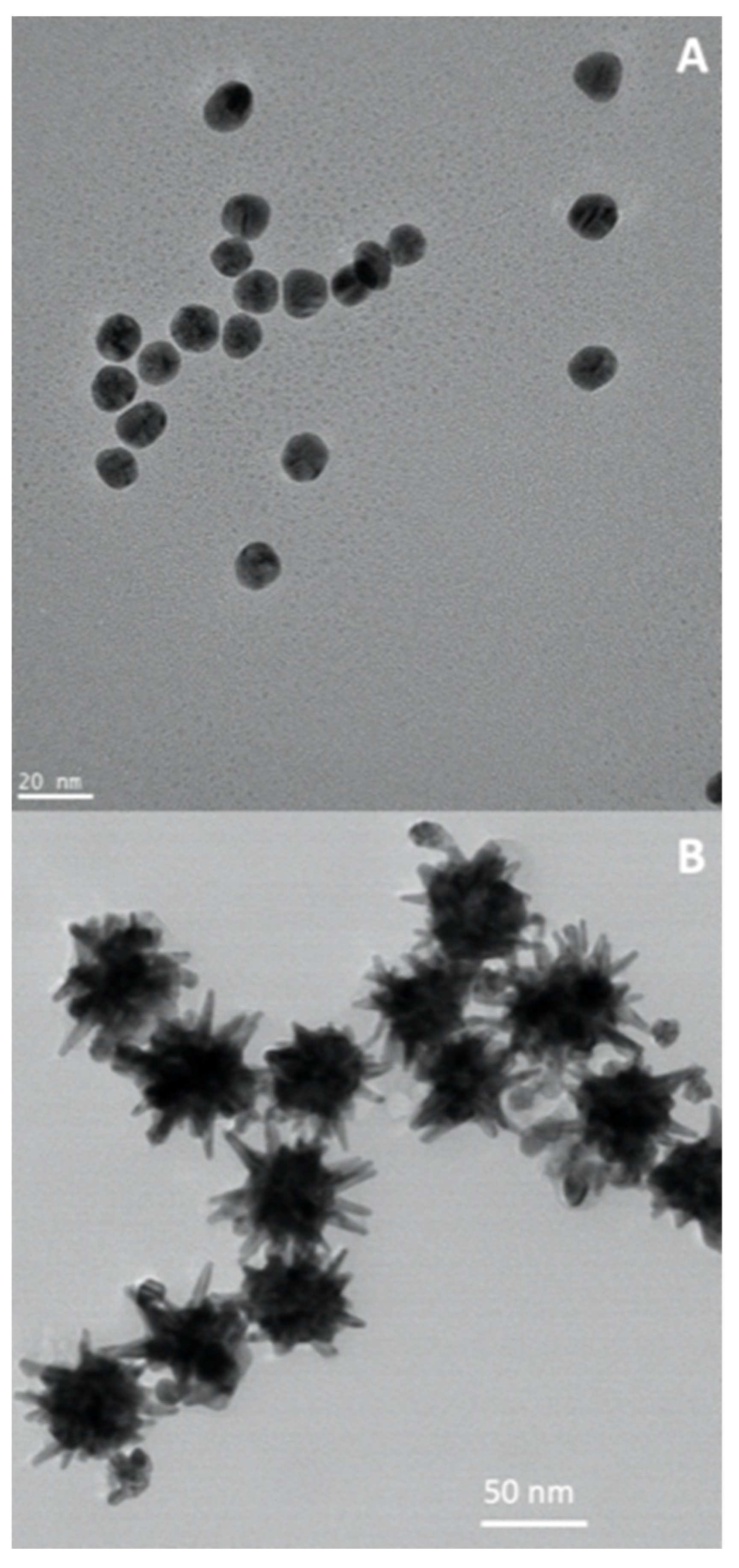 Nanomaterials 13 02887 g009