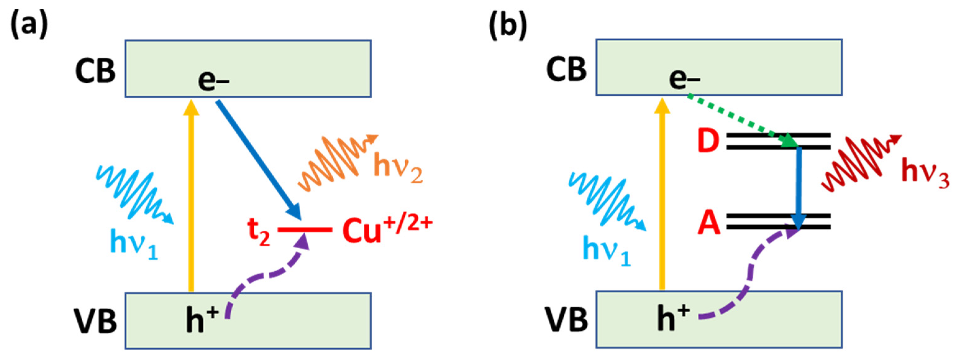 Nanomaterials 13 02889 g001
