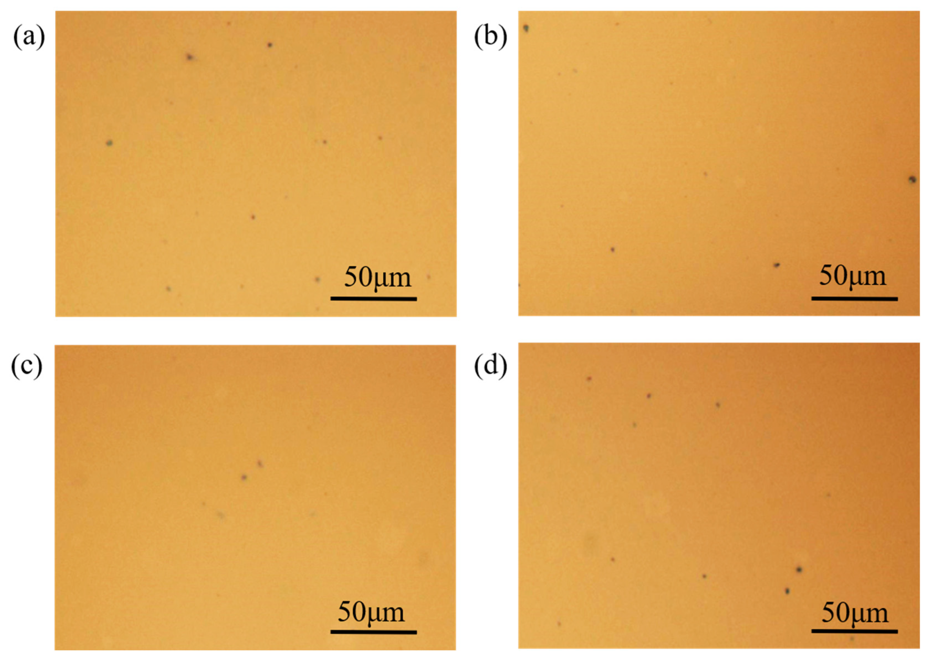 Nanomaterials 13 02899 g003