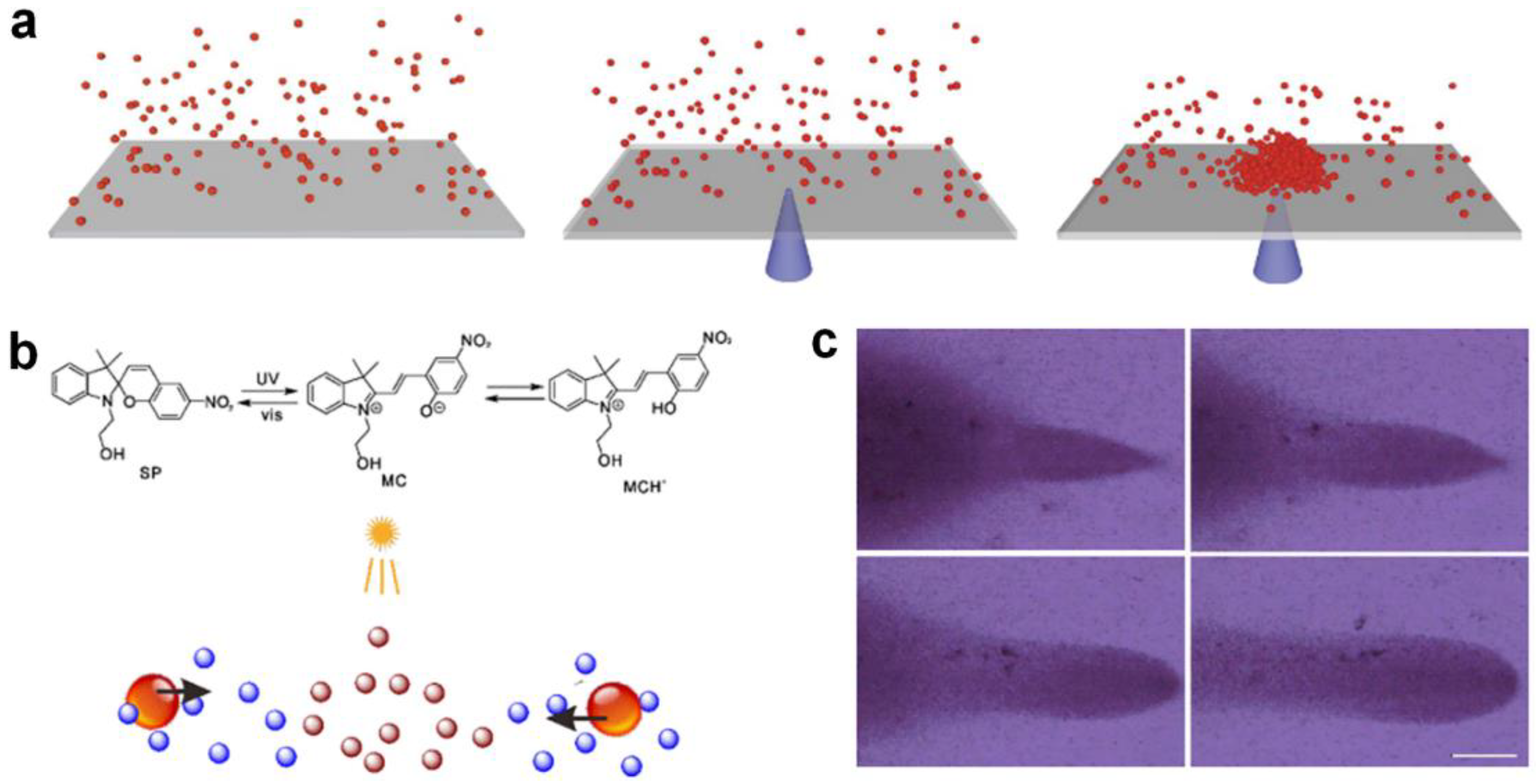 Nanomaterials 13 02900 g002