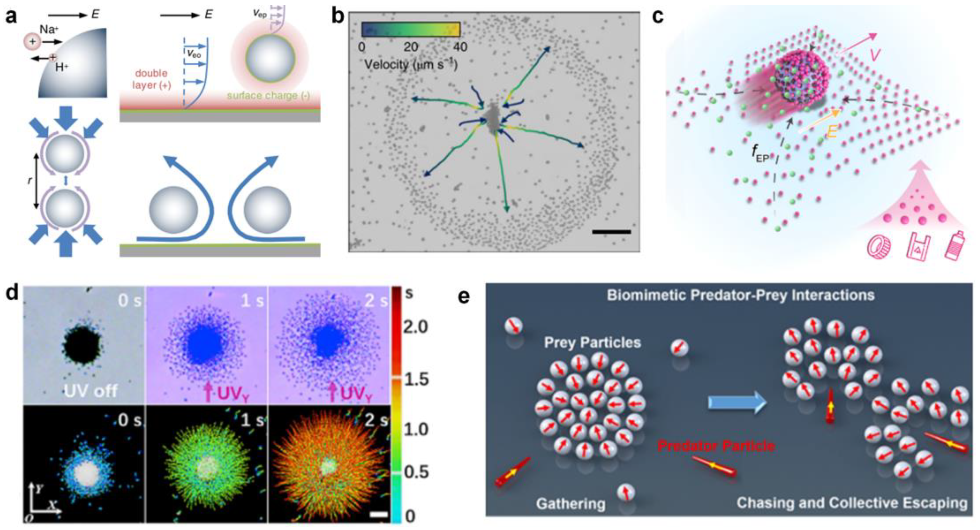 Nanomaterials 13 02900 g003