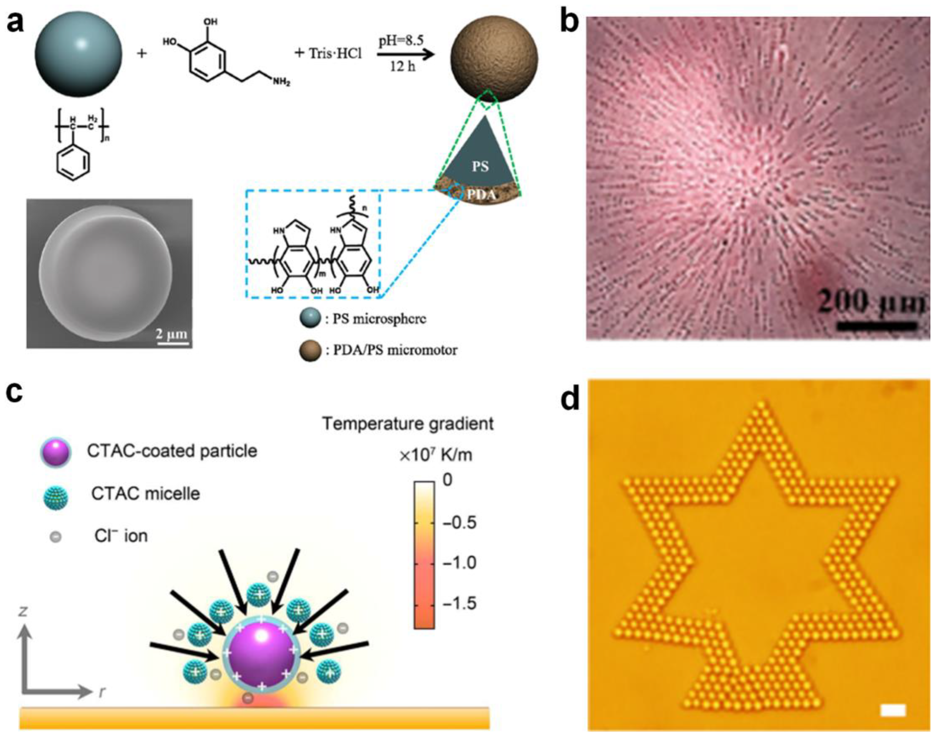 Nanomaterials 13 02900 g004