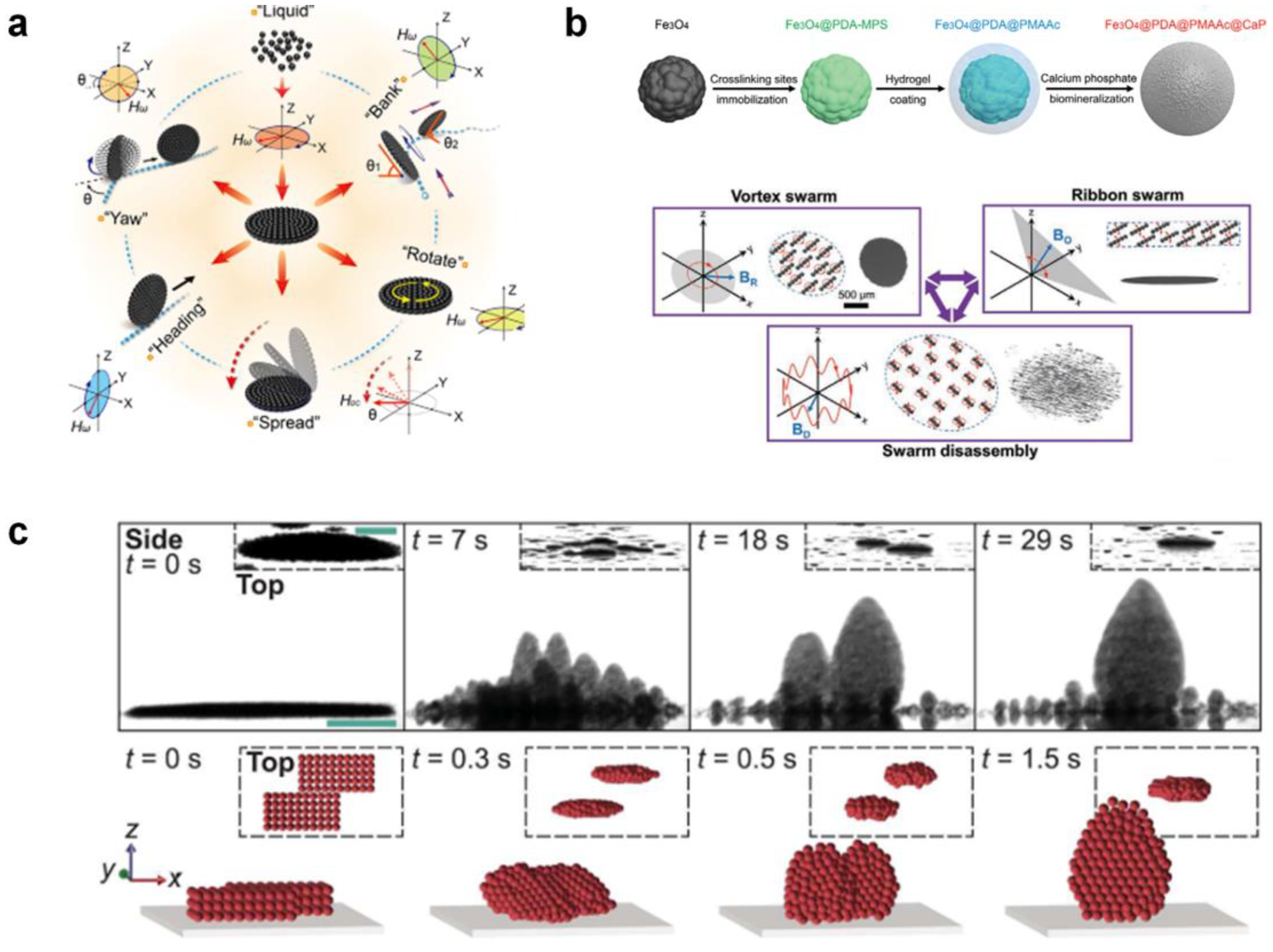 Nanomaterials 13 02900 g005
