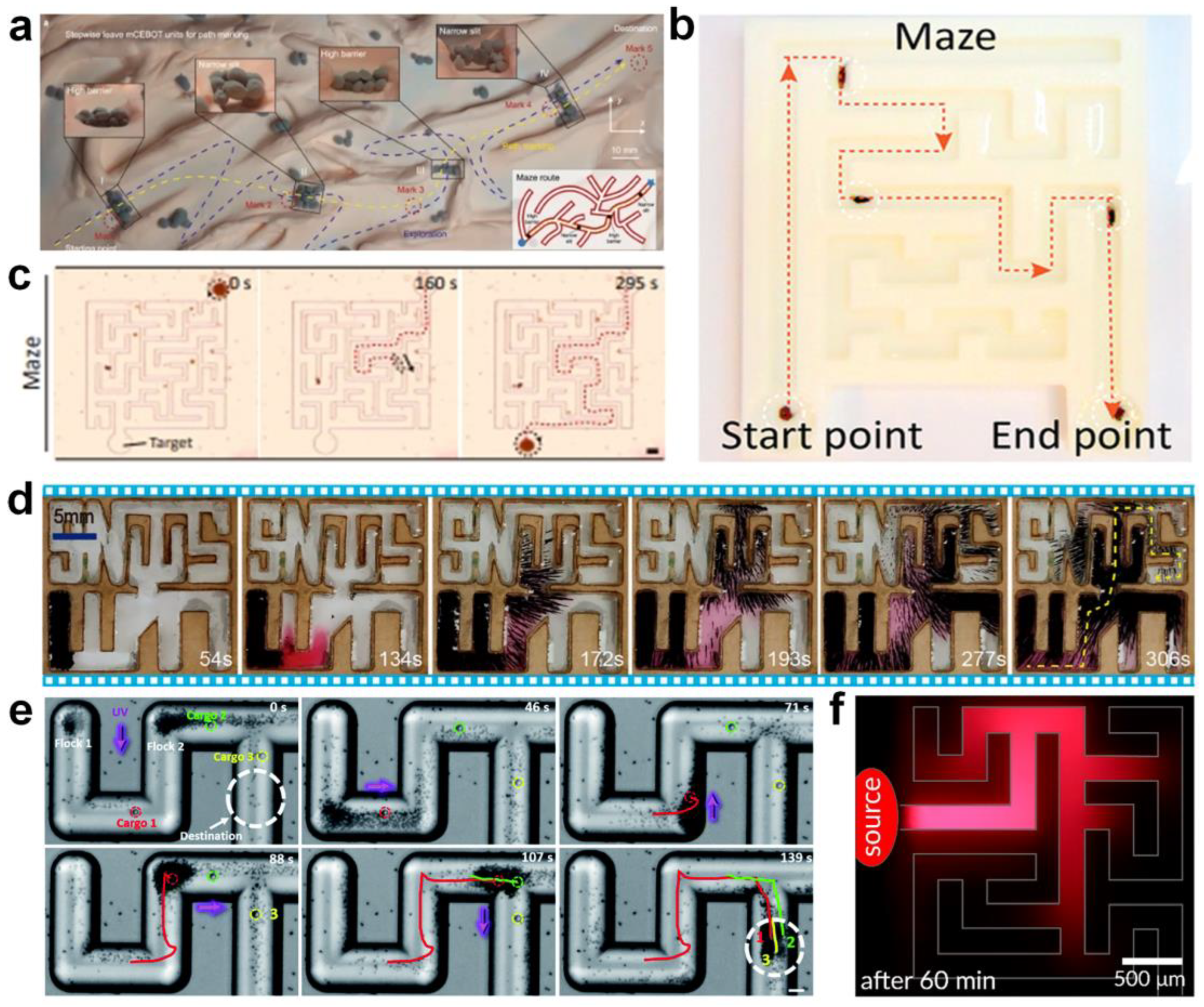 Nanomaterials 13 02900 g008