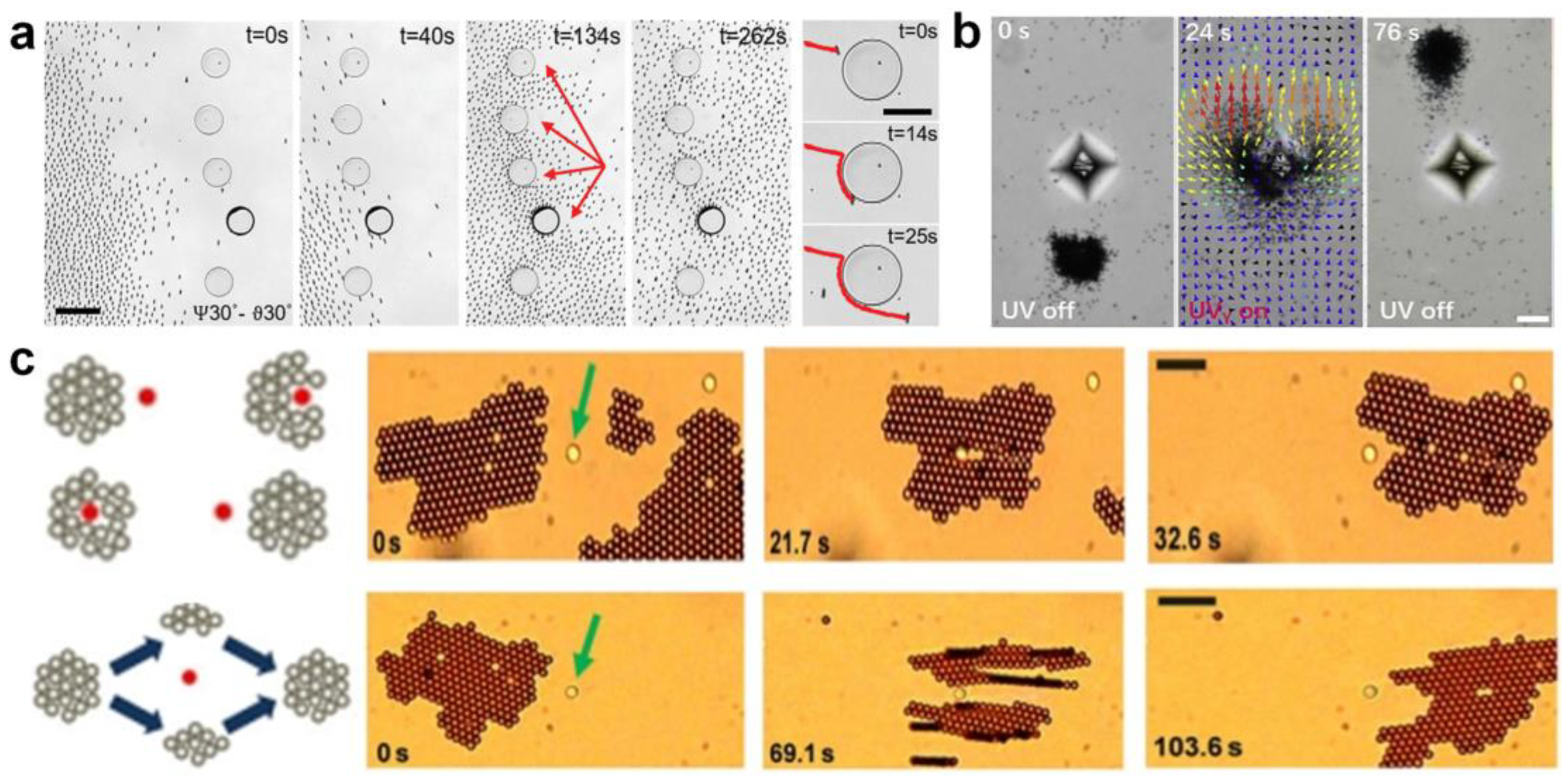 Nanomaterials 13 02900 g009