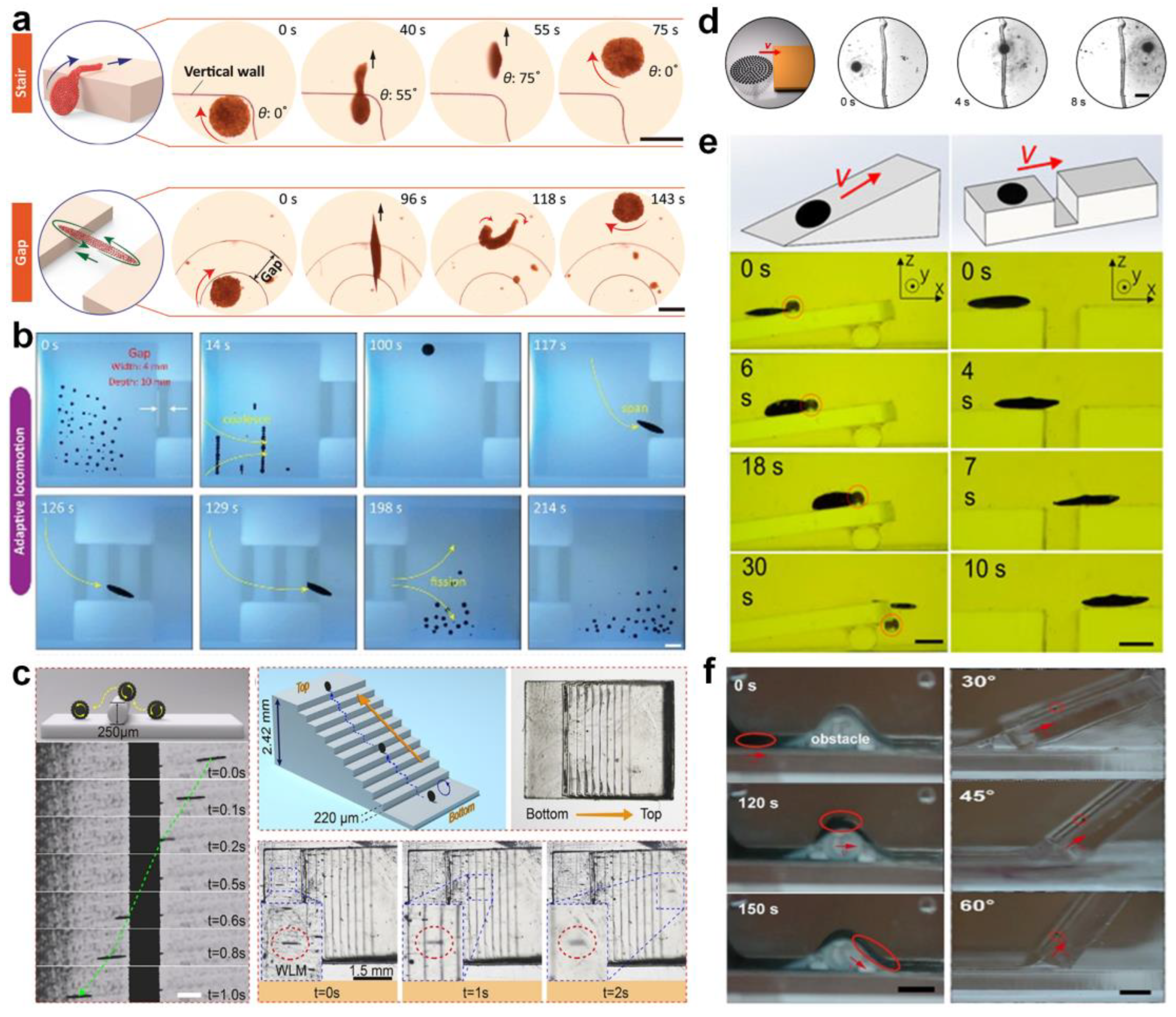 Nanomaterials 13 02900 g010
