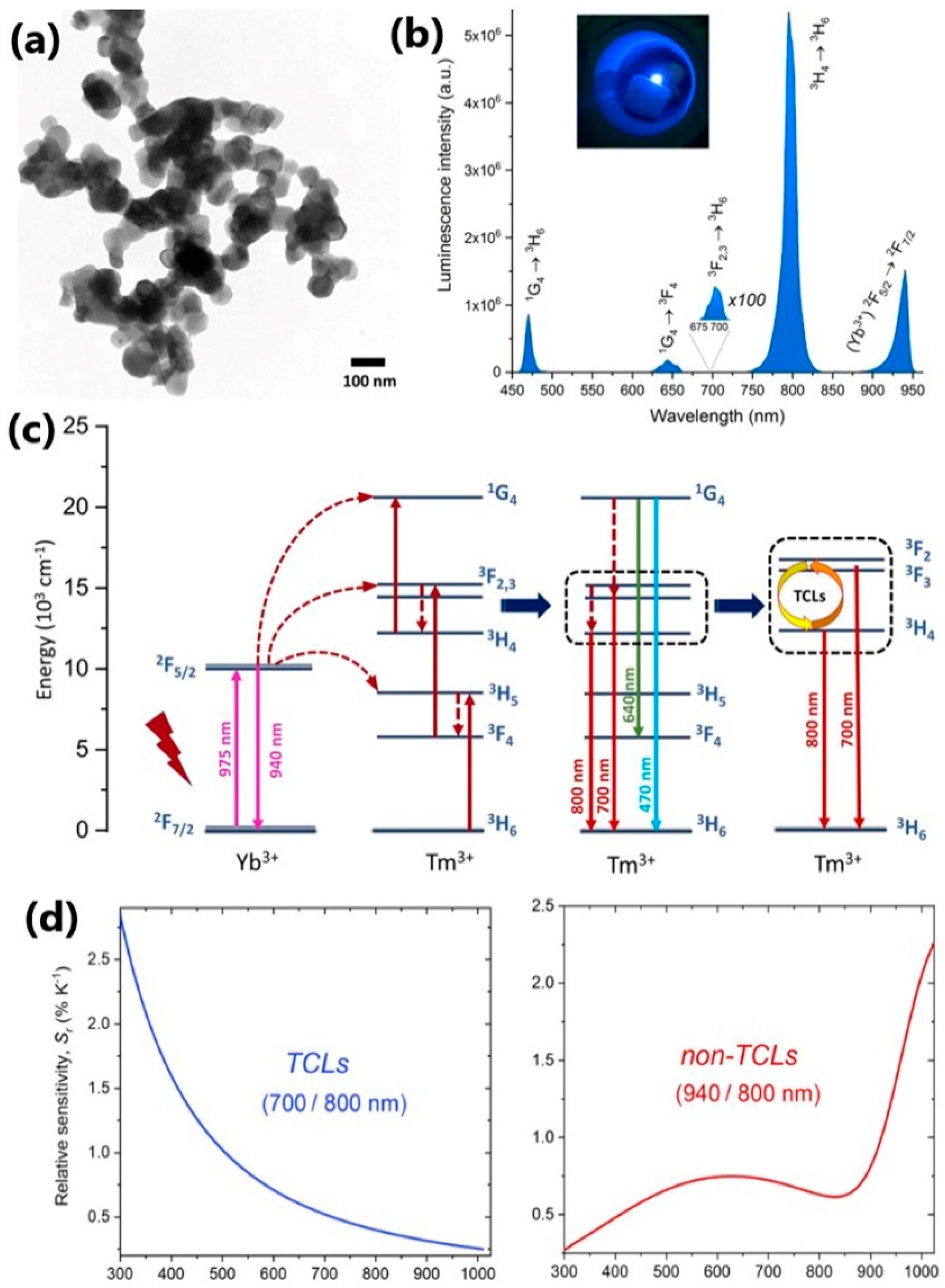 Nanomaterials 13 02904 g003