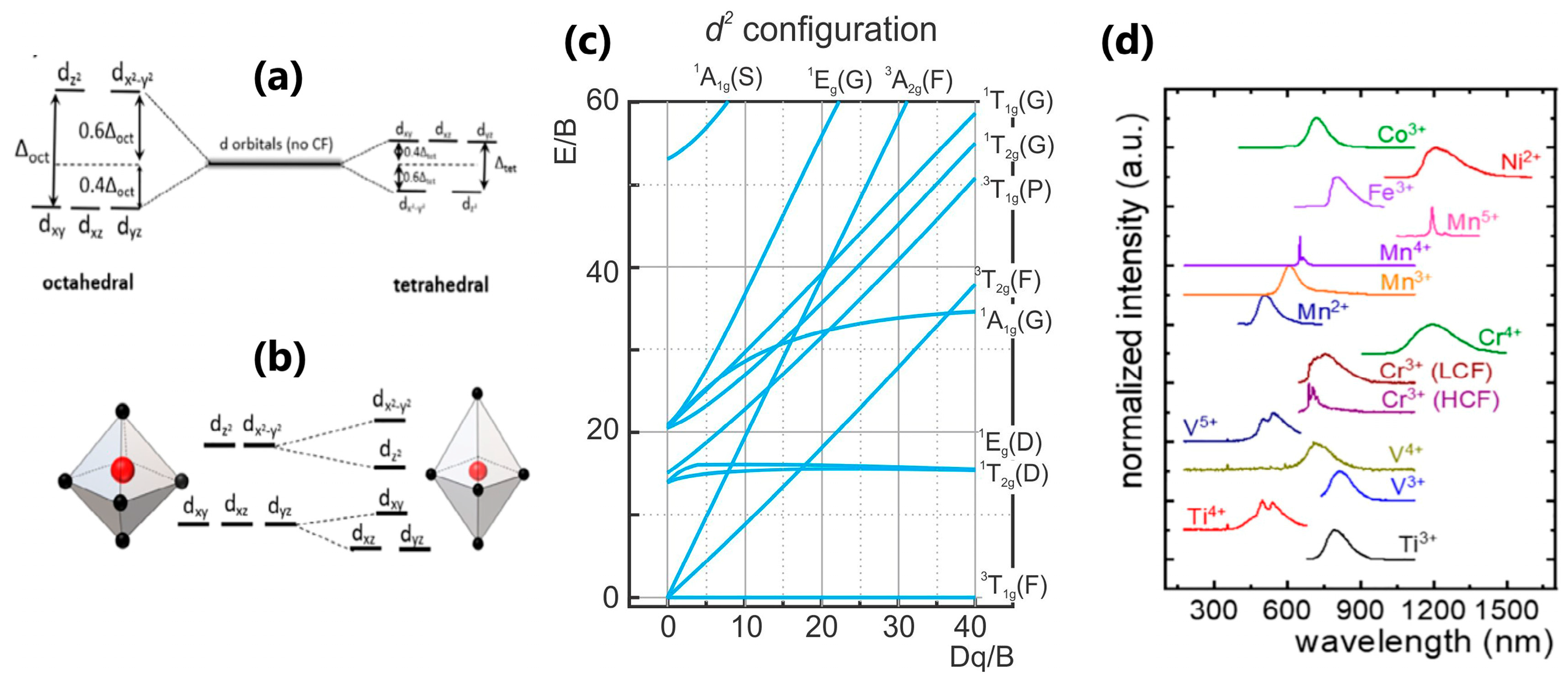 Nanomaterials 13 02904 g004
