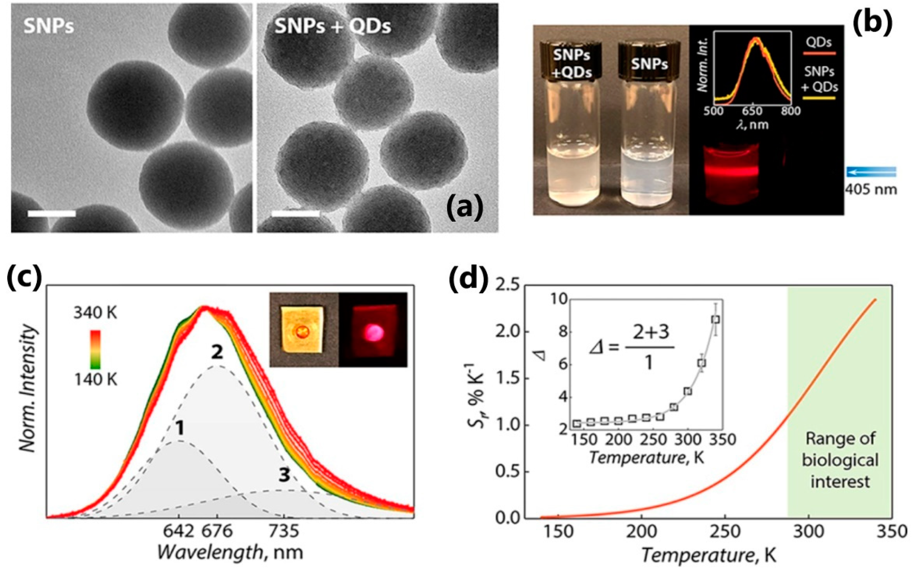 Nanomaterials 13 02904 g009