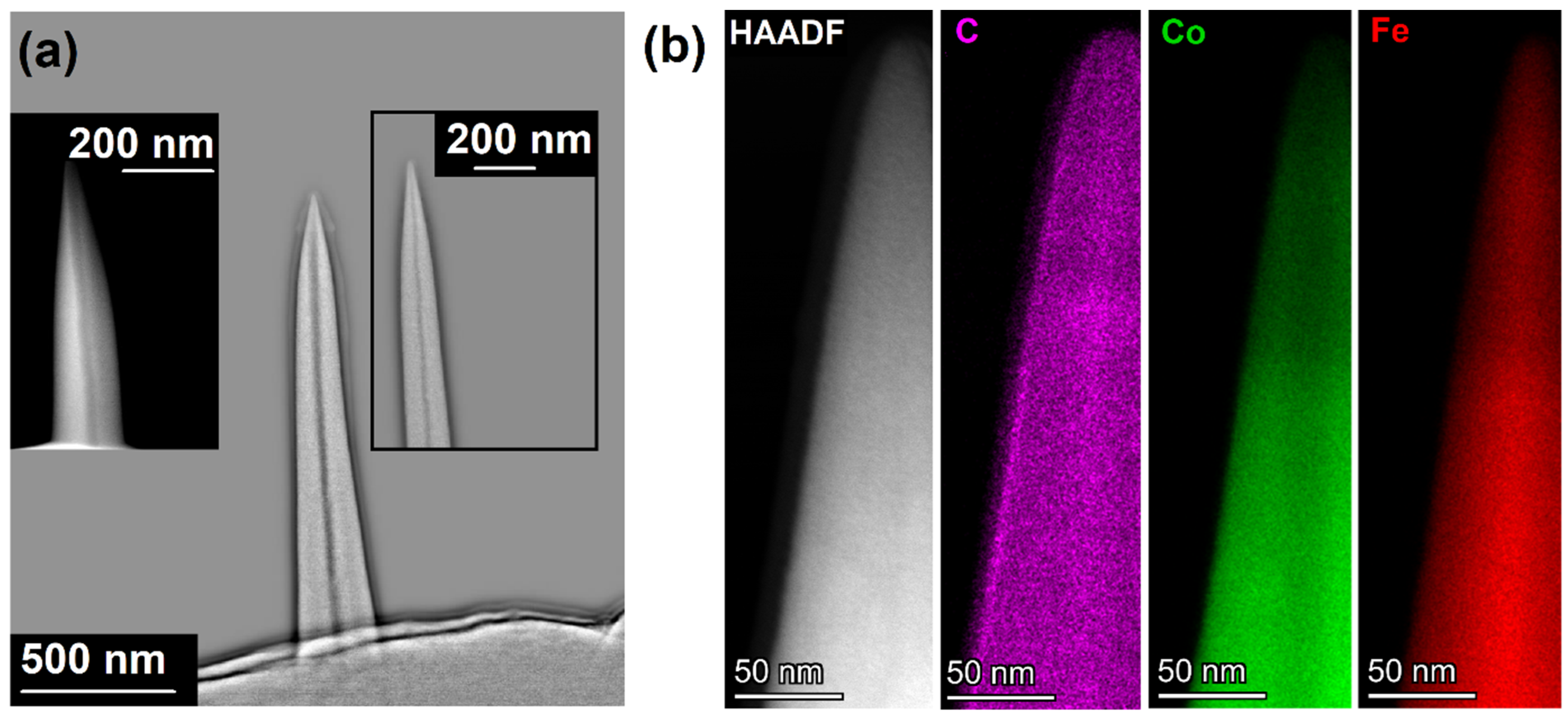Nanomaterials 13 02907 g001