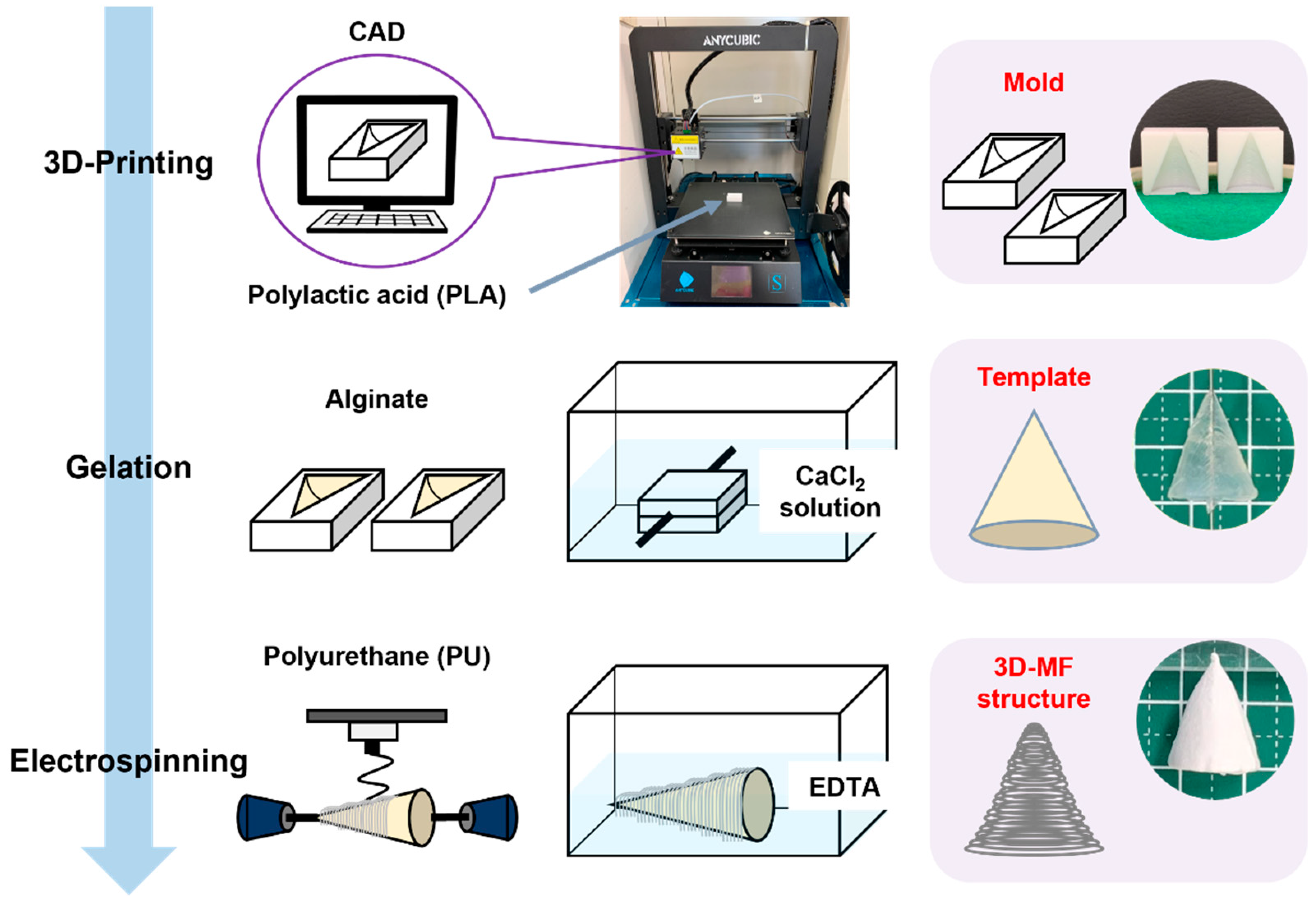 Nanomaterials 13 02913 g001