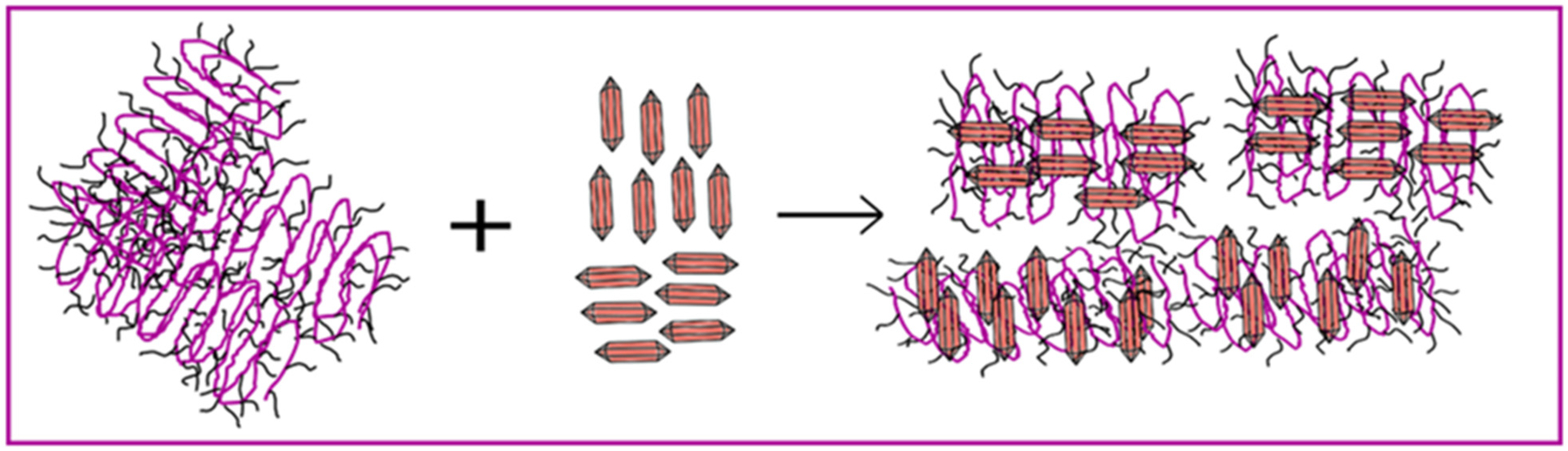 Nanomaterials 13 02918 g008