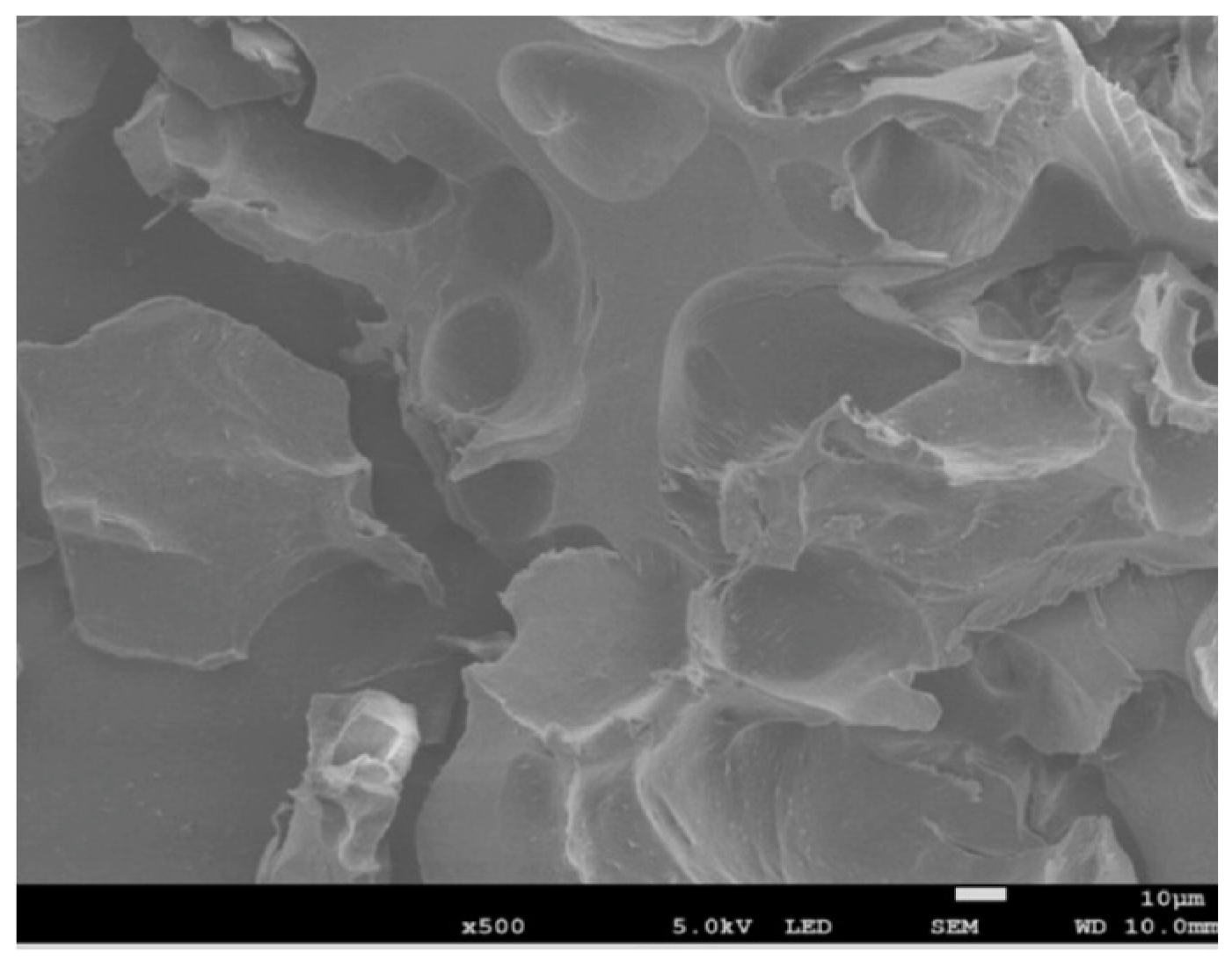 Nanomaterials 13 02920 g006