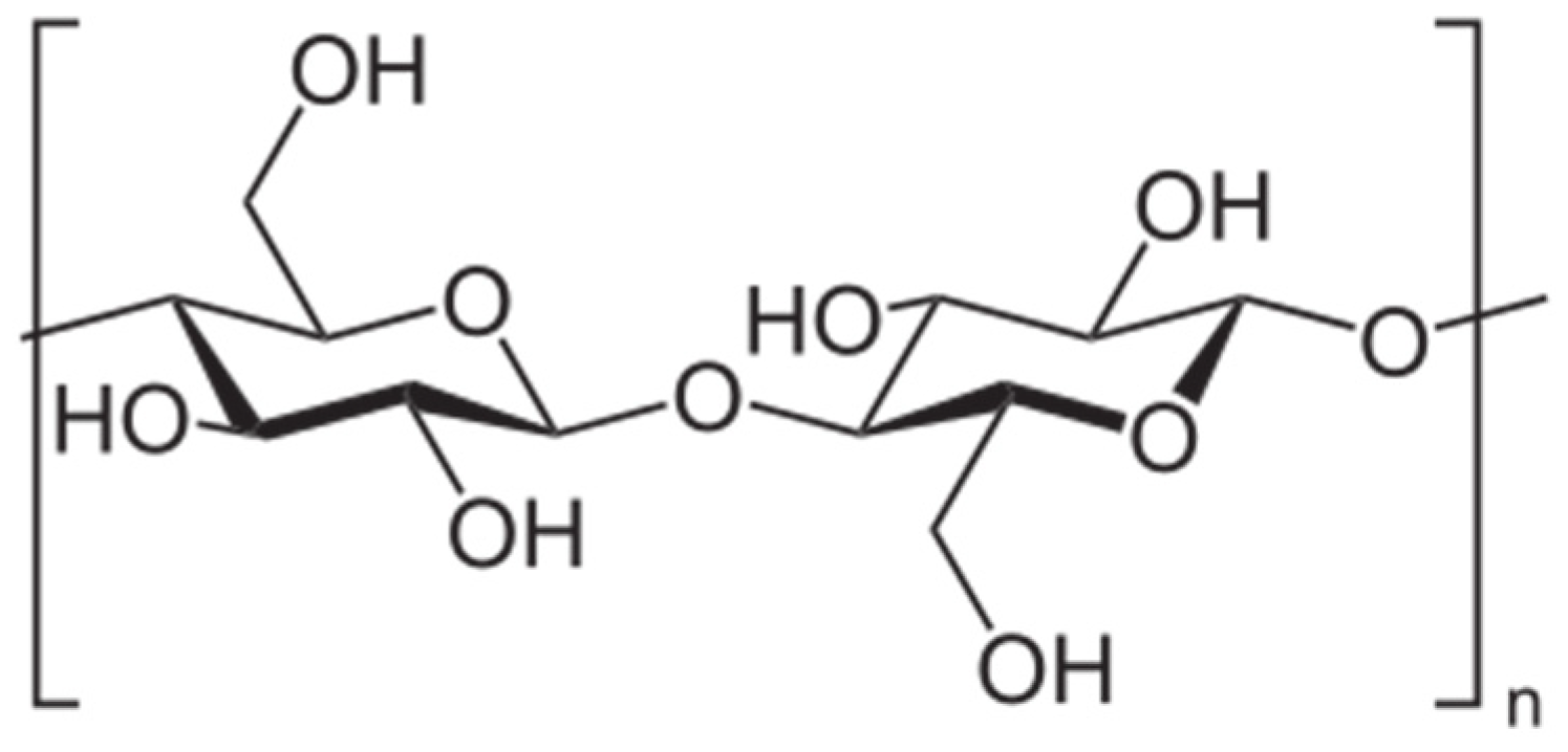 Nanomaterials 13 02920 g007