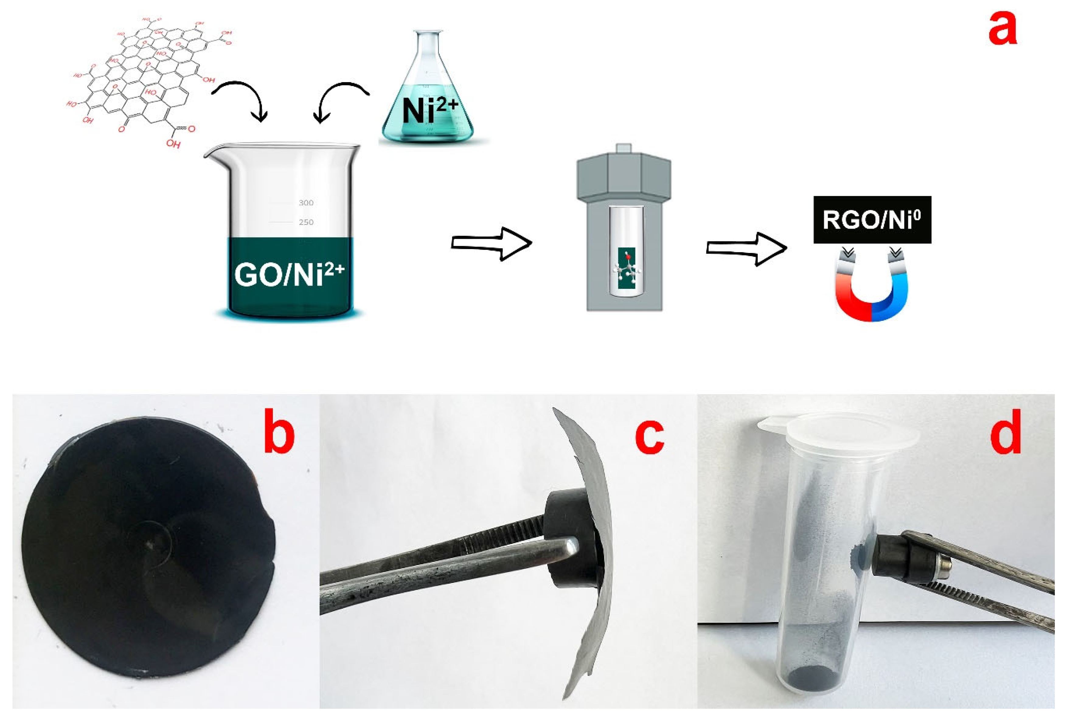 Nanomaterials 13 02923 g001