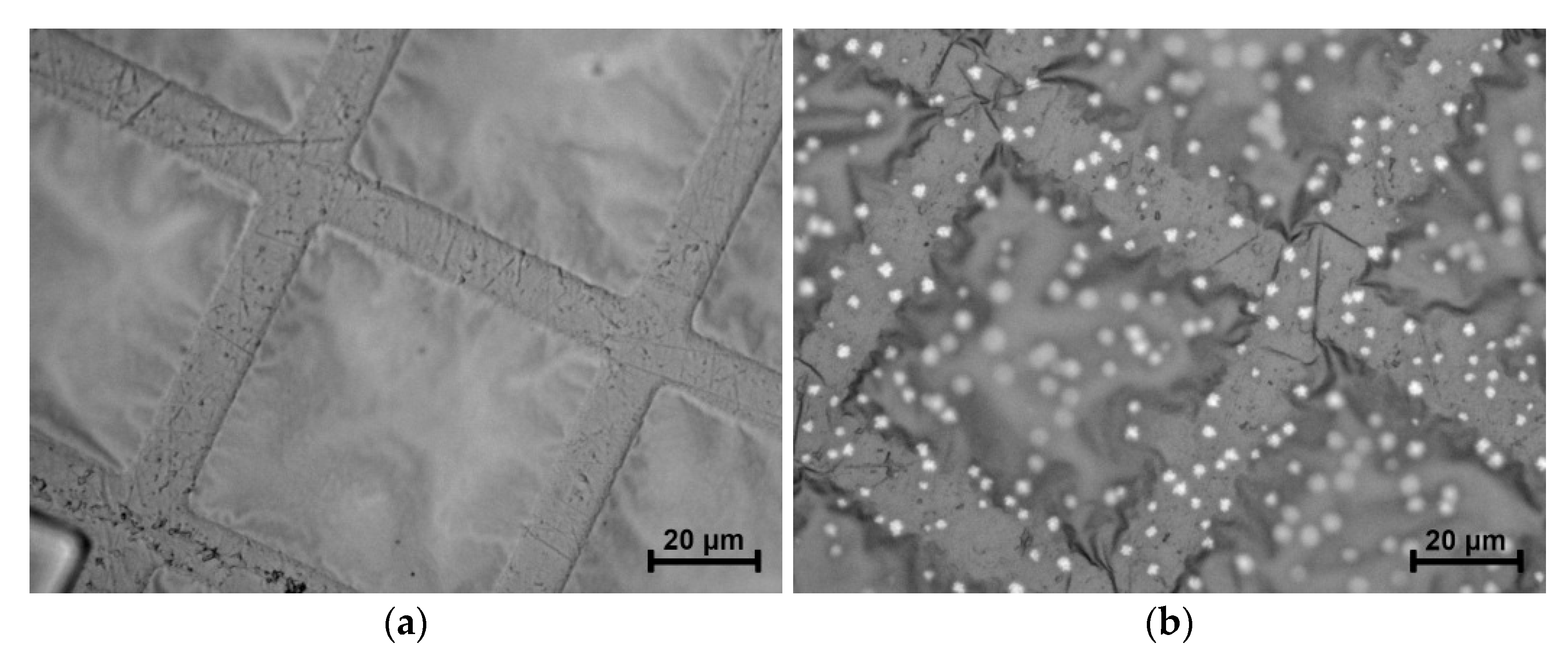 Nanomaterials 13 02925 g008