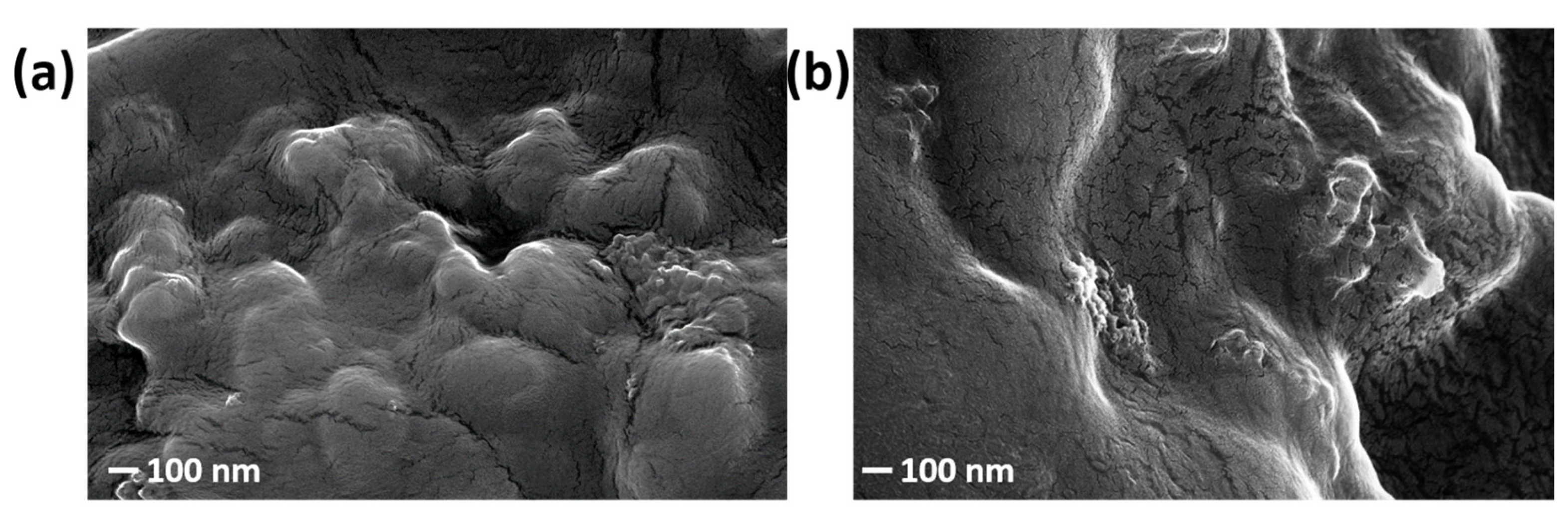 Nanomaterials 13 02926 g006