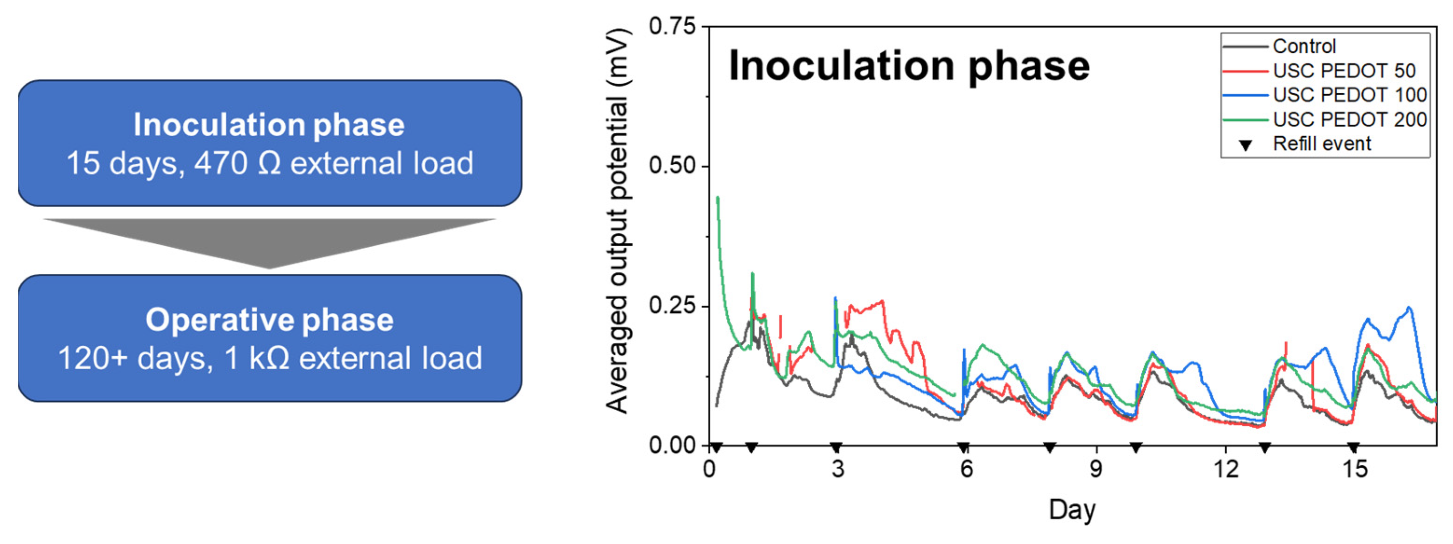 Nanomaterials 13 02926 g008