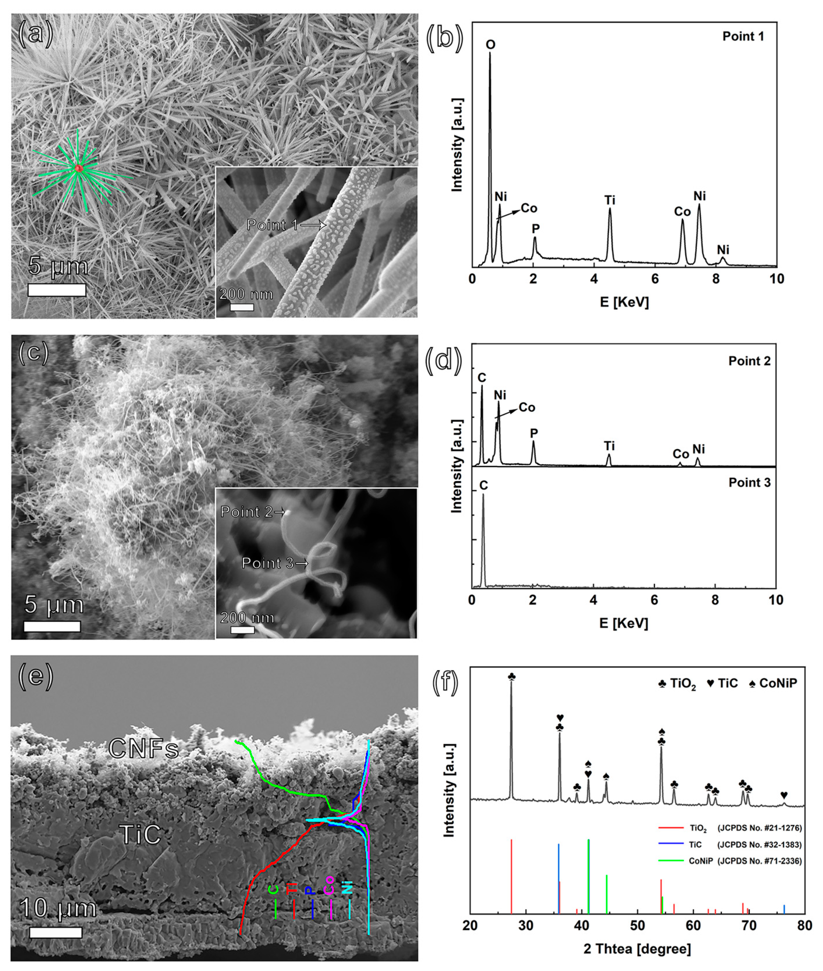 Nanomaterials 13 02927 g001