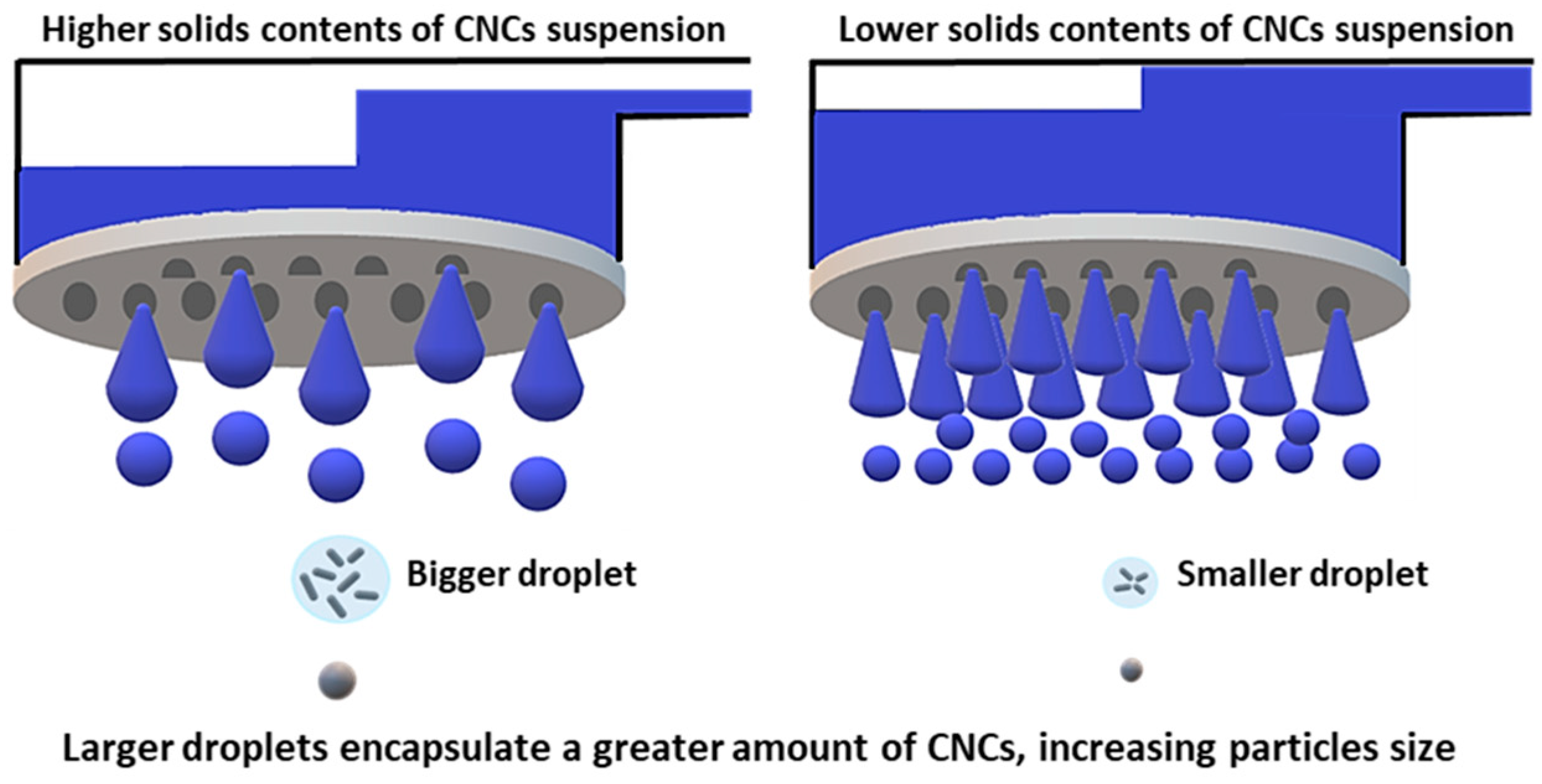 Nanomaterials 13 02928 g012