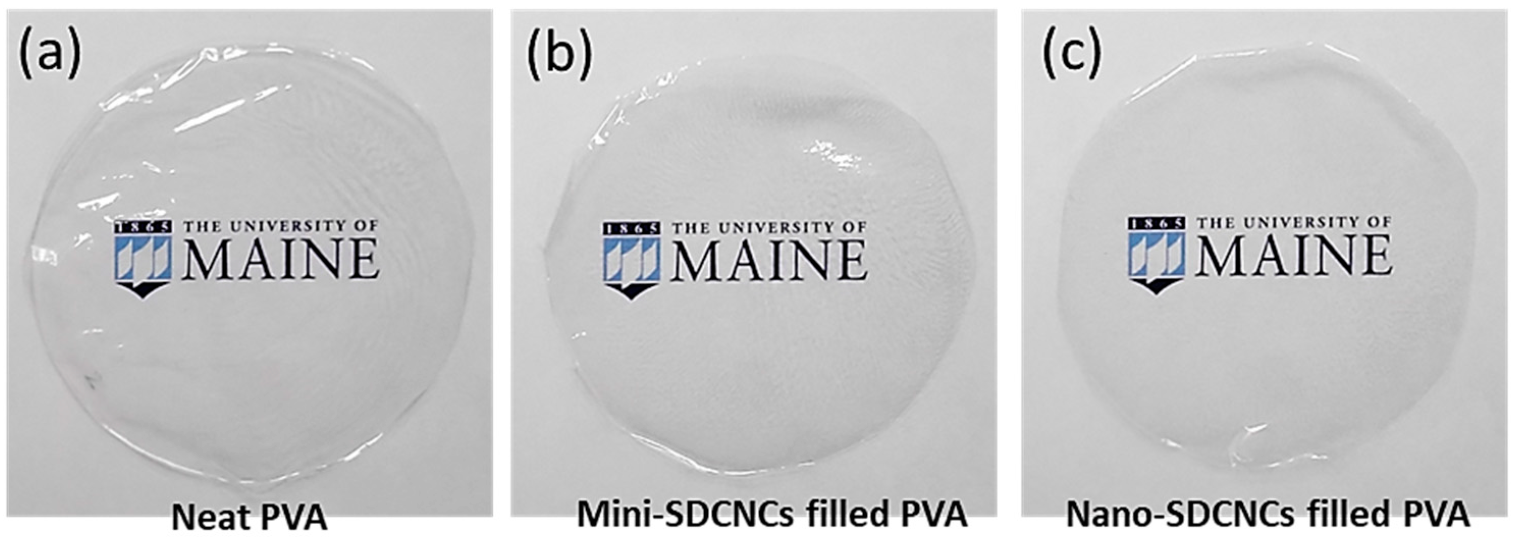 Nanomaterials 13 02928 g019