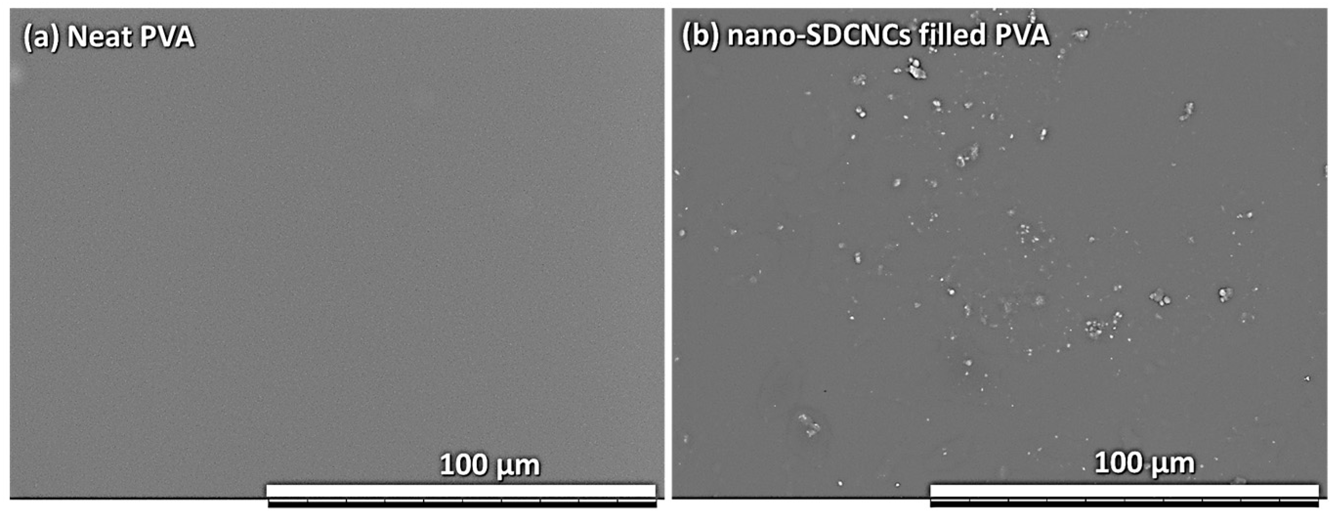 Nanomaterials 13 02928 g022