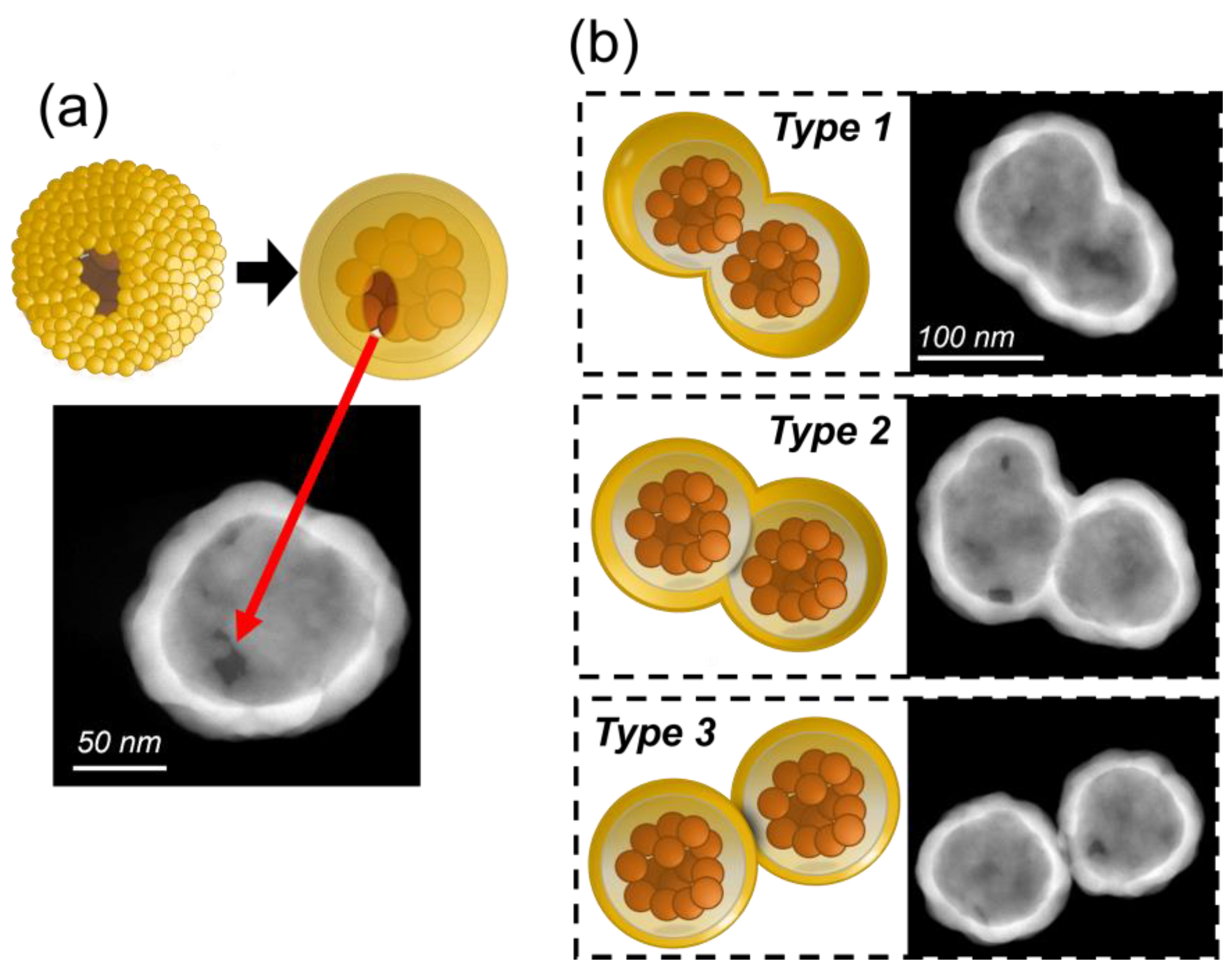 Nanomaterials 13 02929 g004