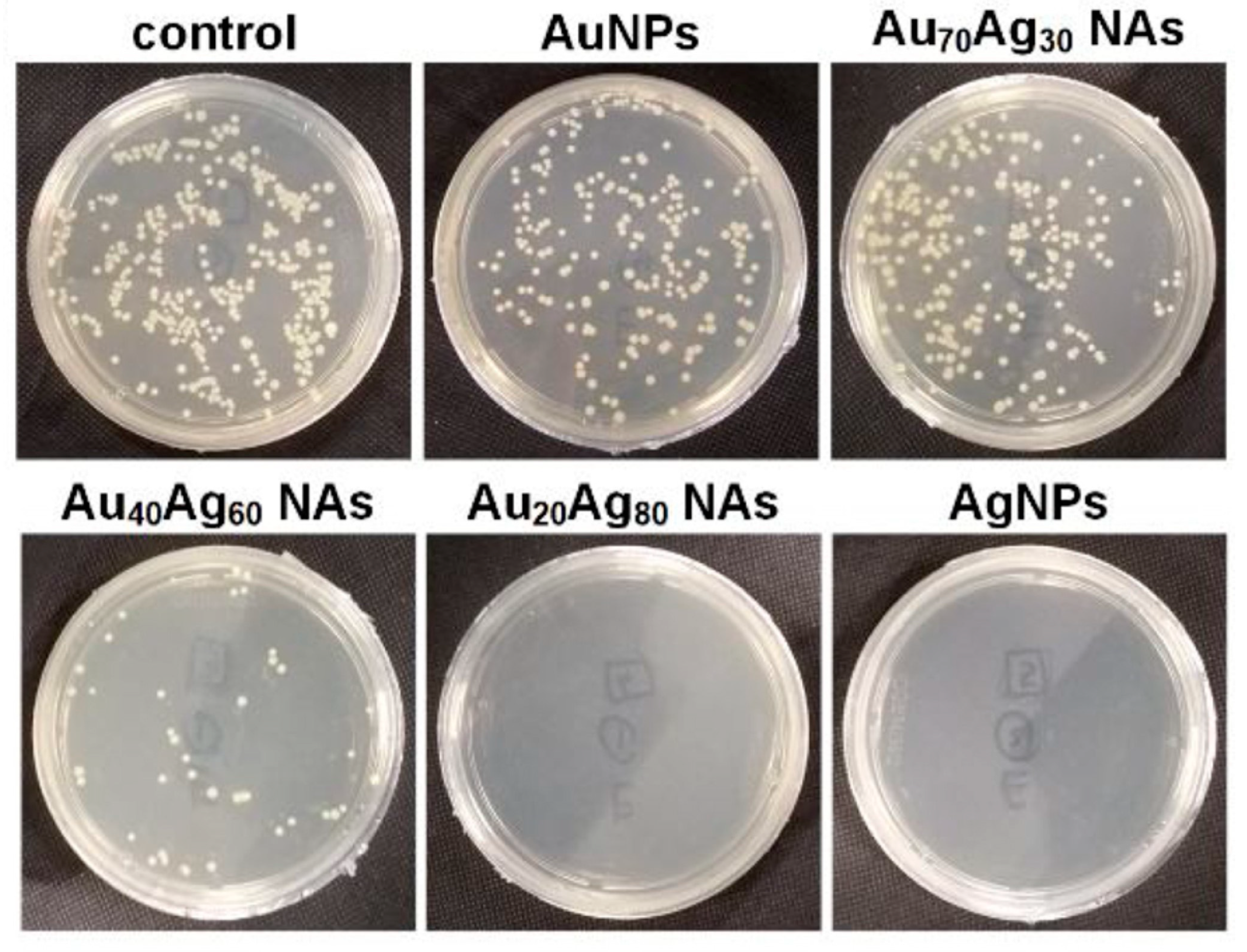 Nanomaterials 13 02940 g006
