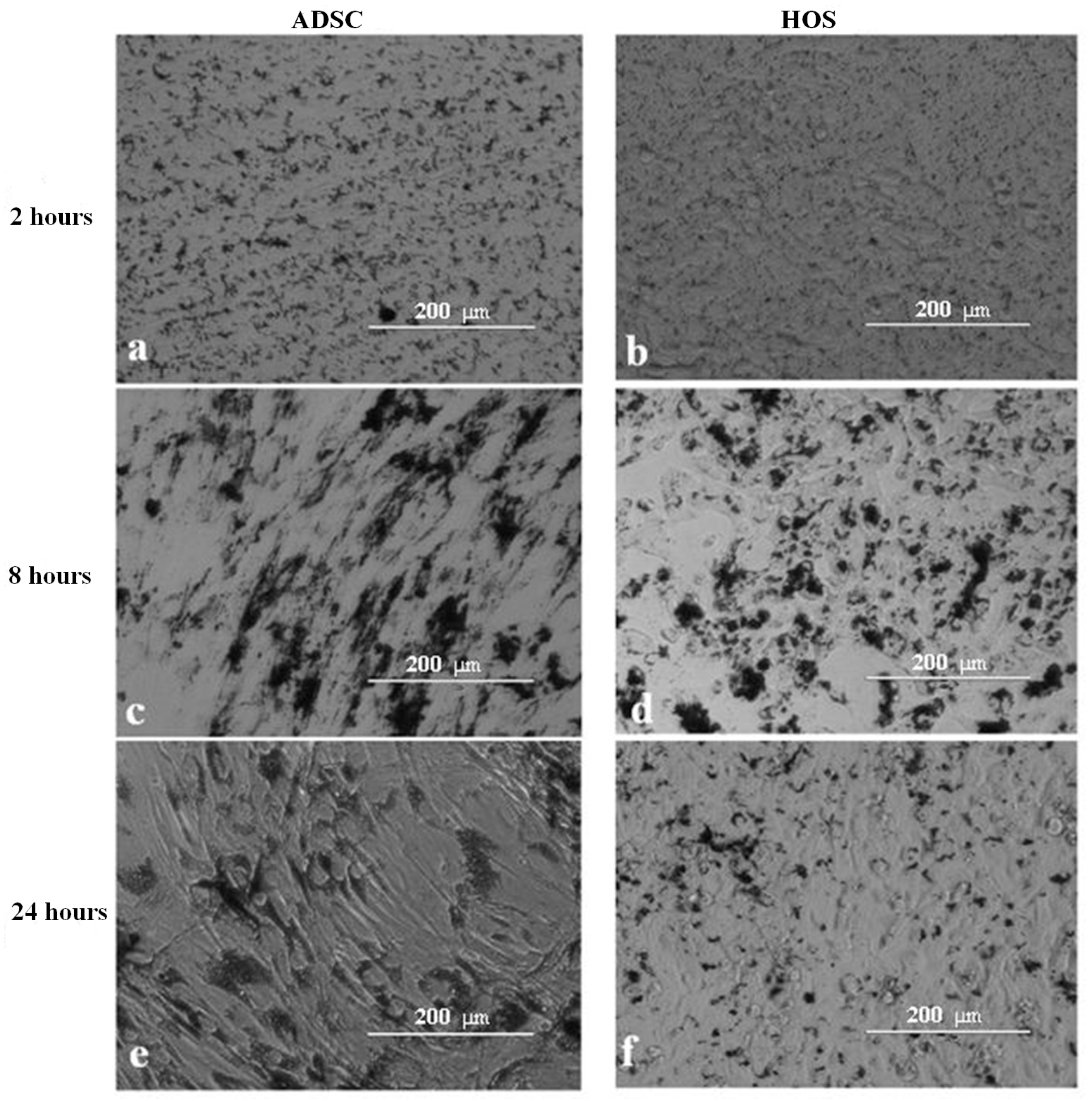 Nanomaterials 13 02941 g005