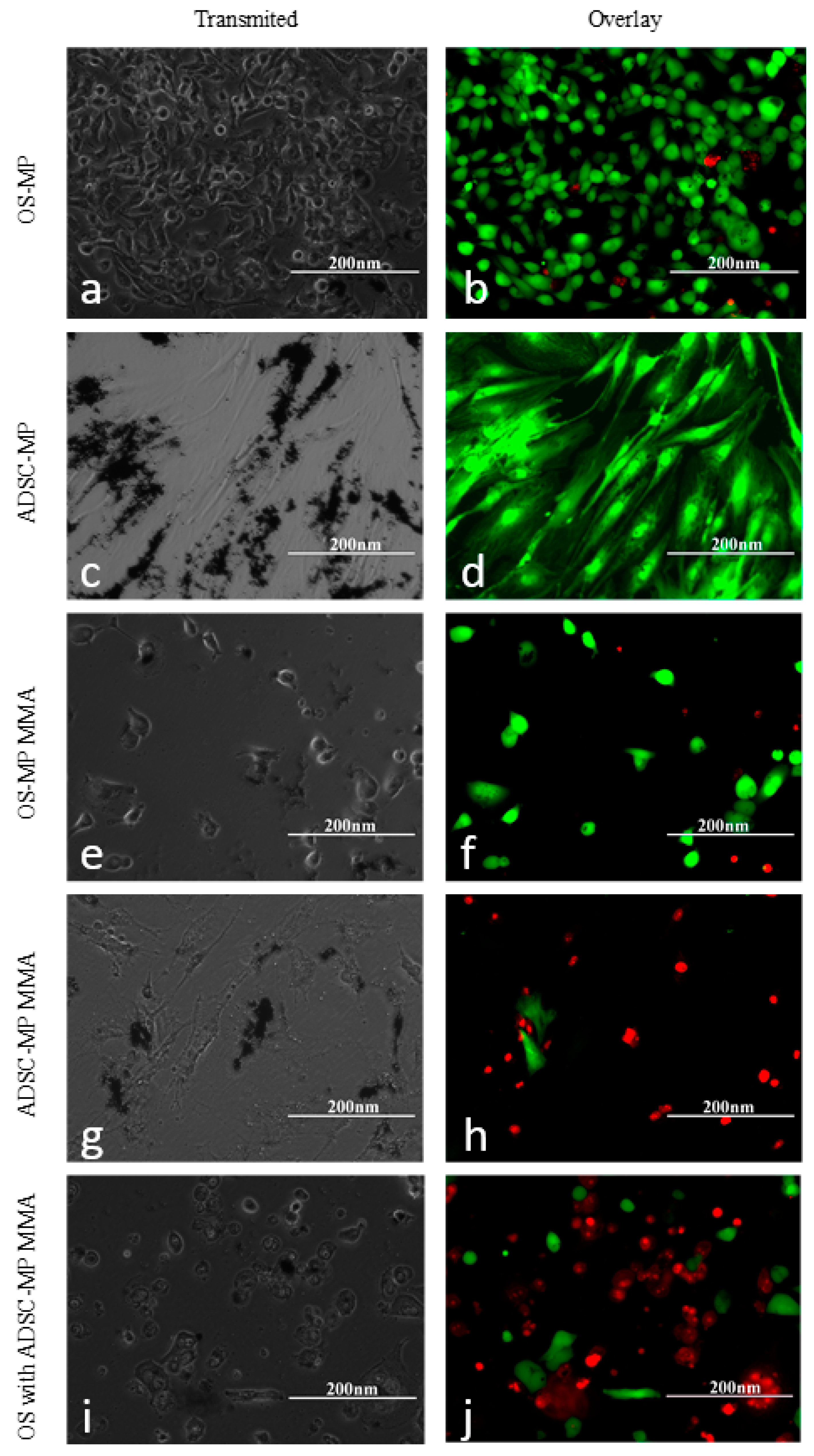 Nanomaterials 13 02941 g011