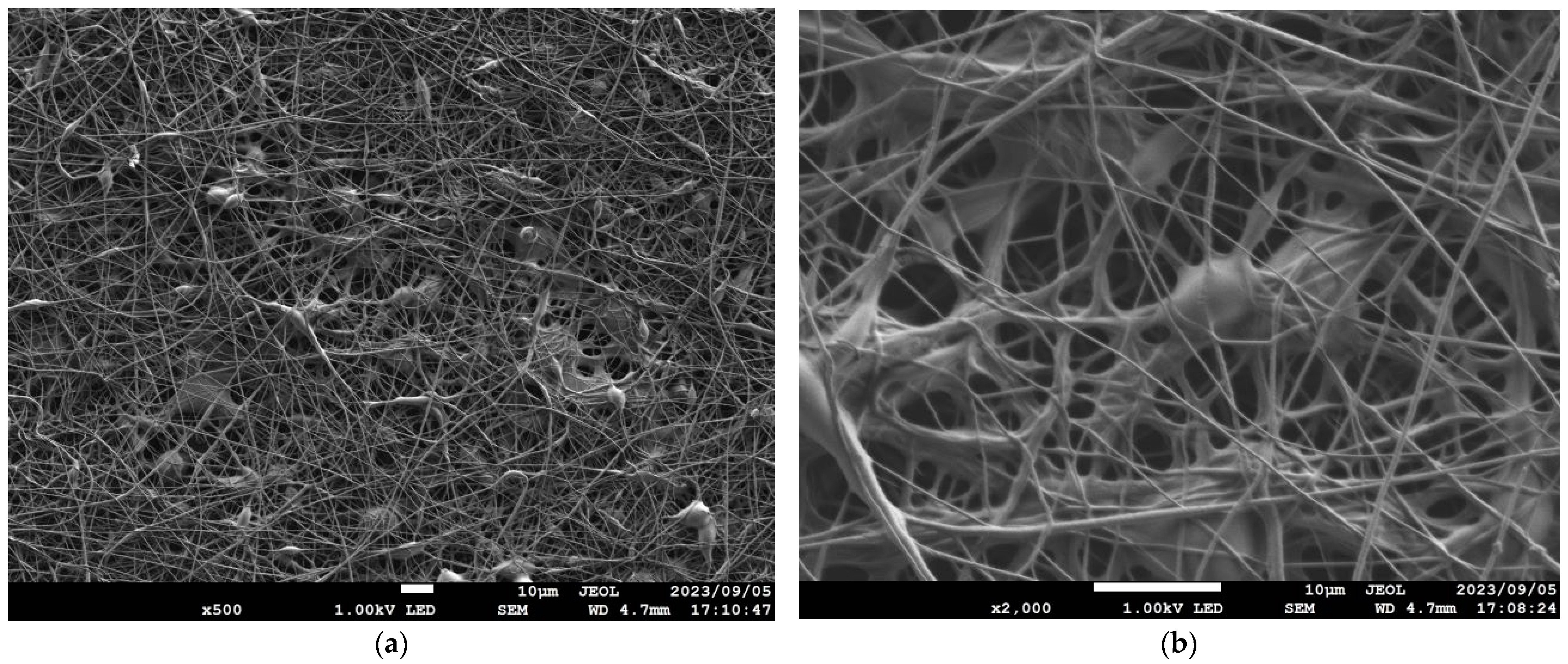 Nanomaterials 13 02947 g005