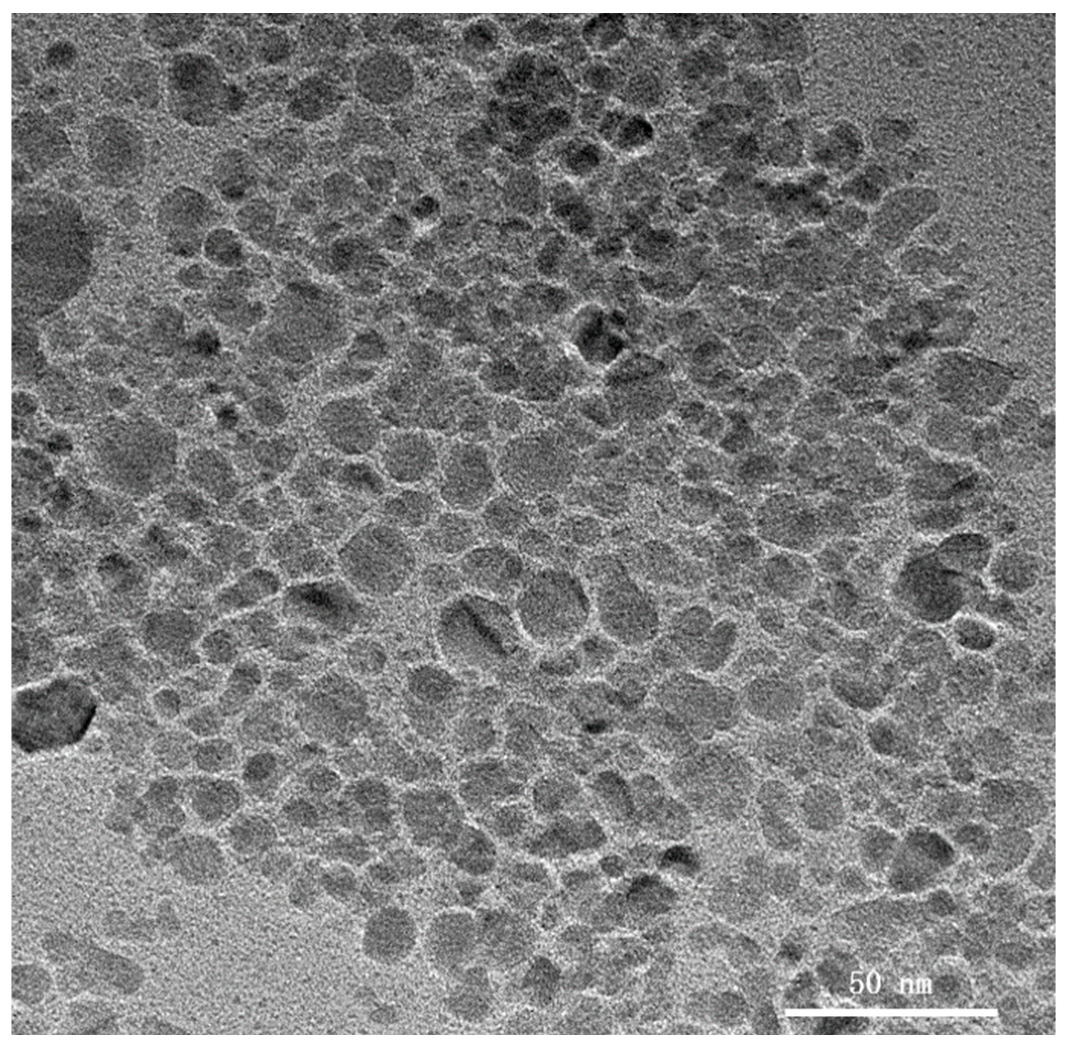 Nanomaterials 13 02952 g003